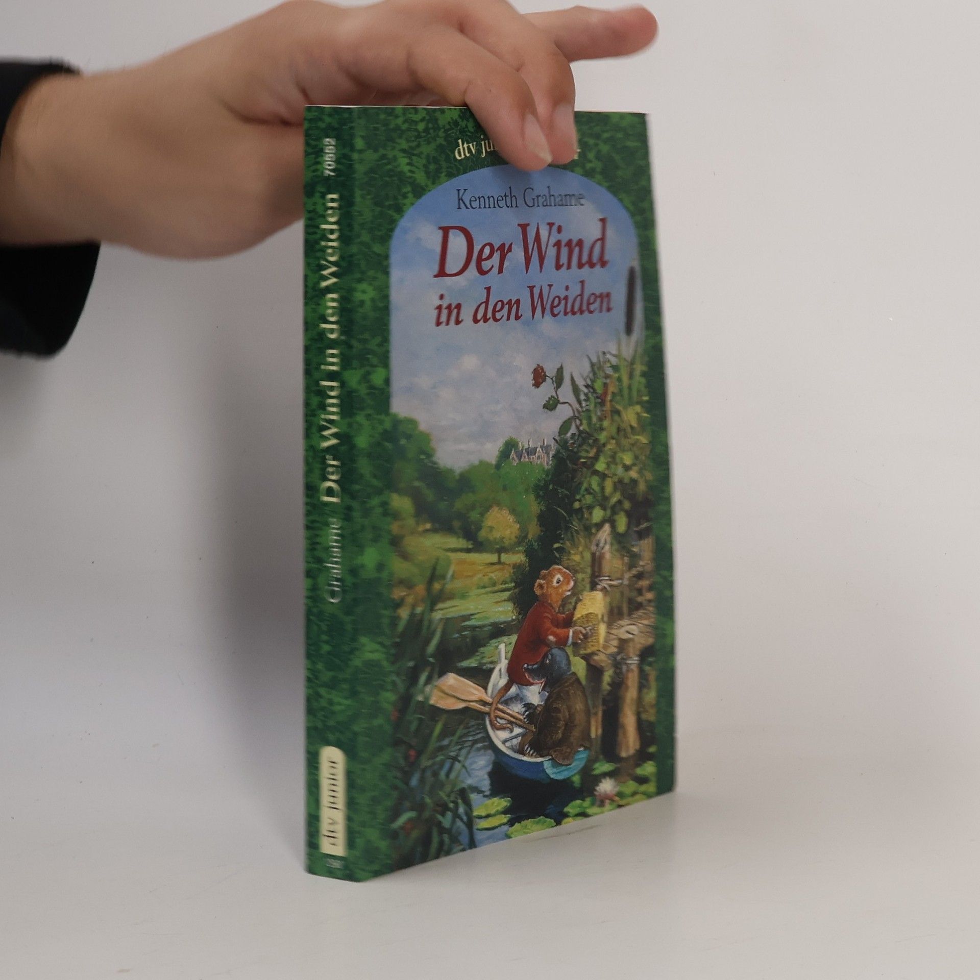 Der Wind in den Weiden