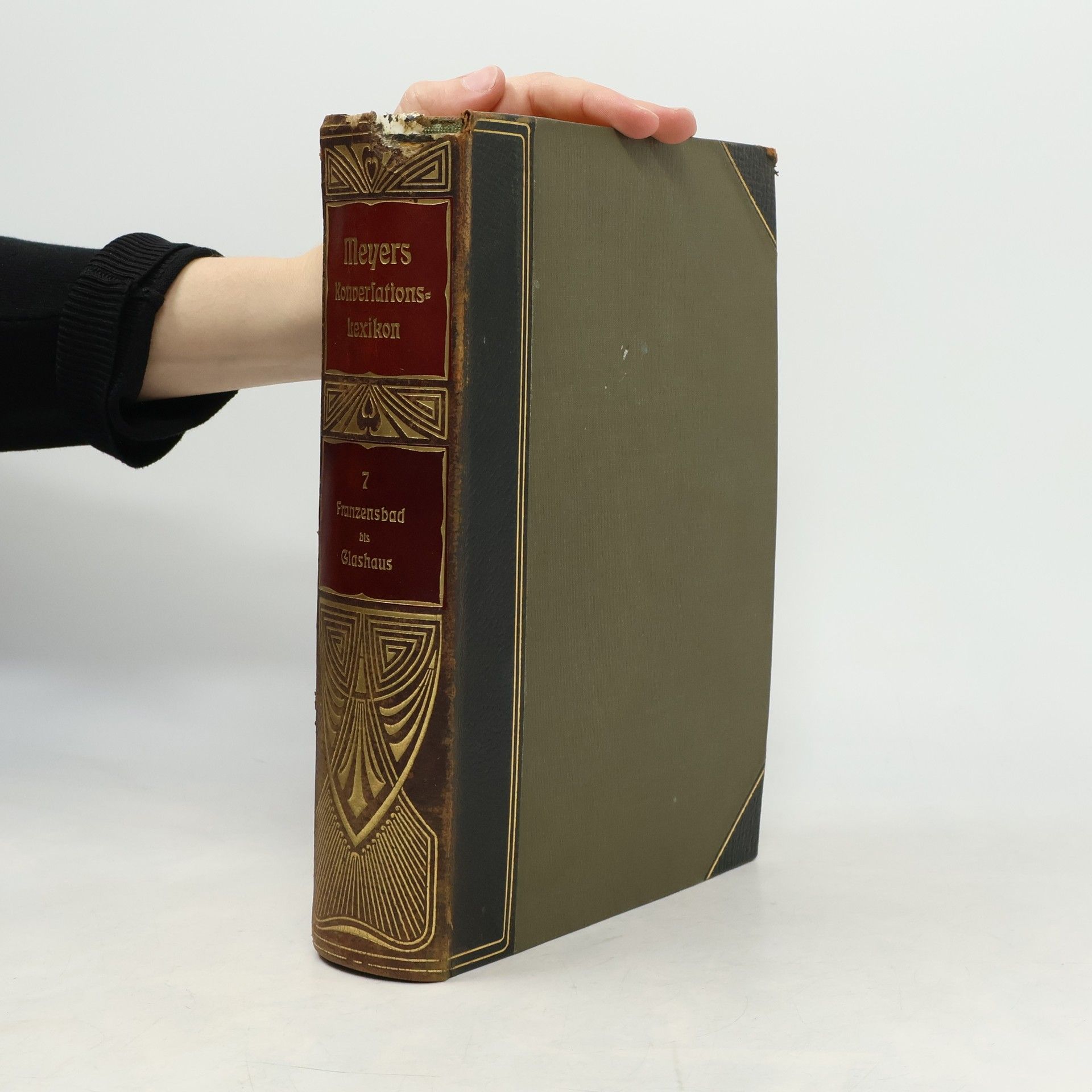 Autores varios Meyers Großes Konversations-Lexikon 7