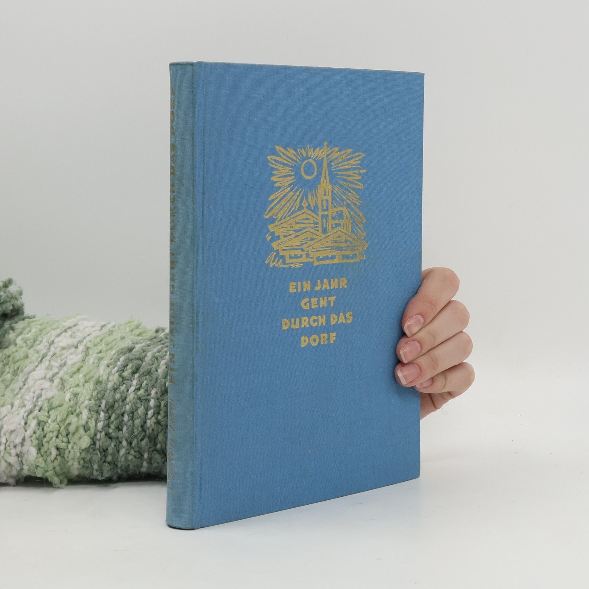 Platten-Lisei  Ein Jahr geht durch das Dorf