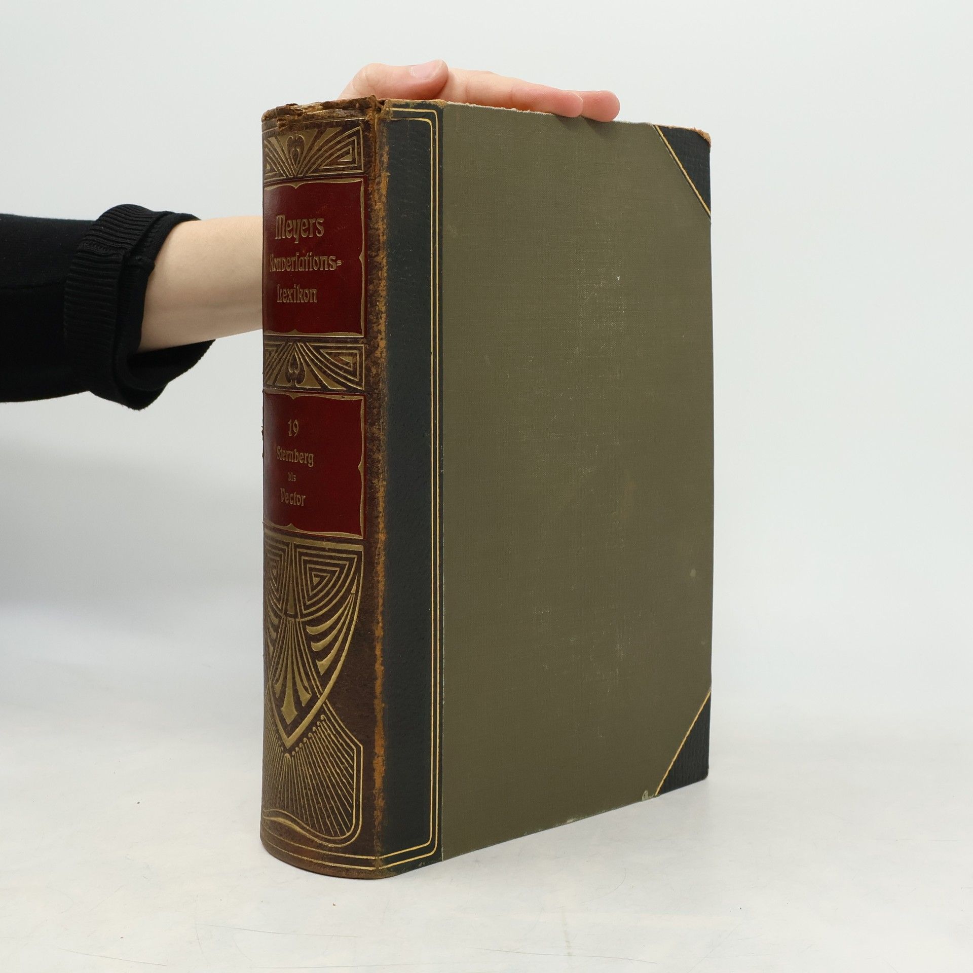 Kolektív autorov Meyers Großes Konversations-Lexikon 19