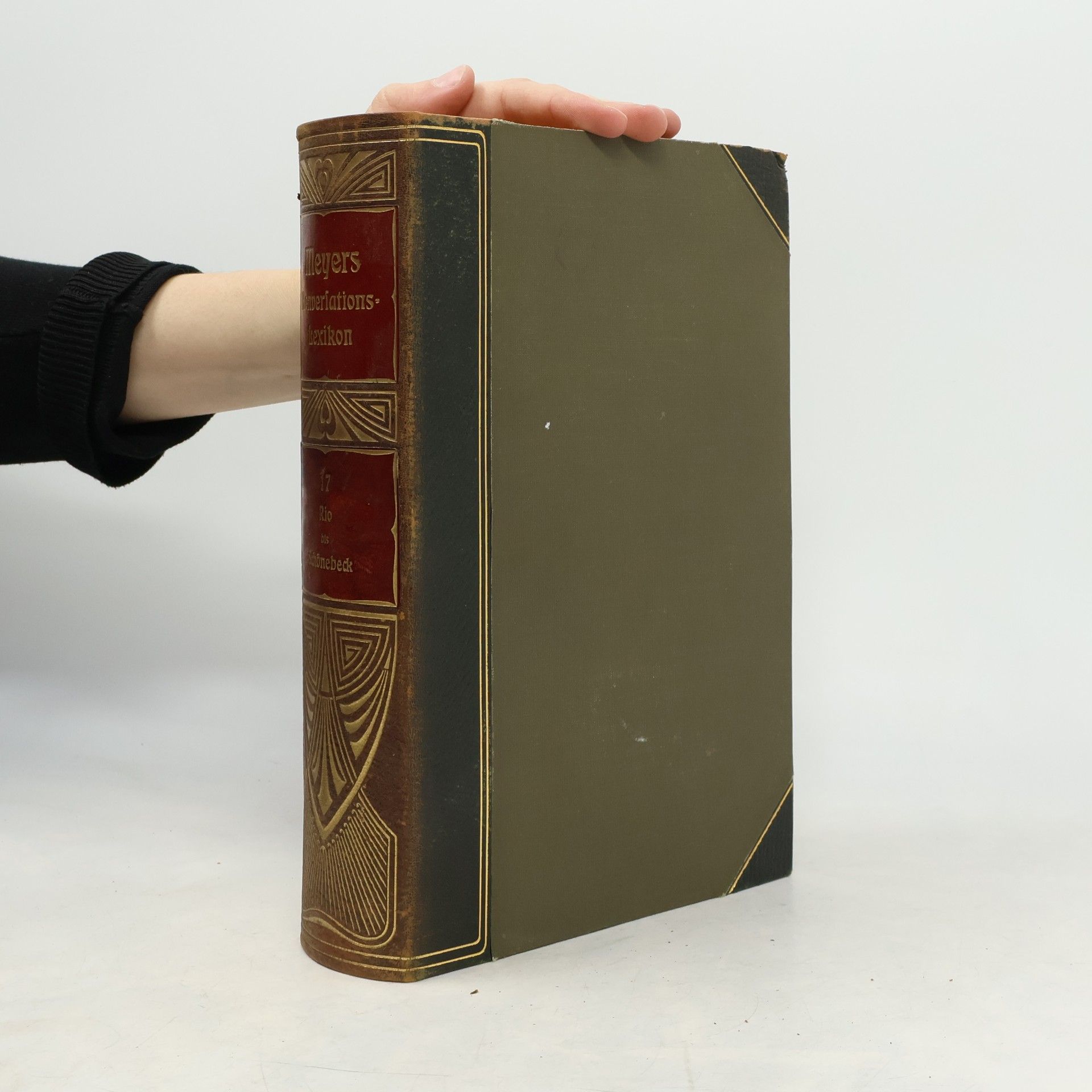 Auteurscollectief Meyers Großes Konversations-Lexikon 17 (Rio bis Schönebeck)