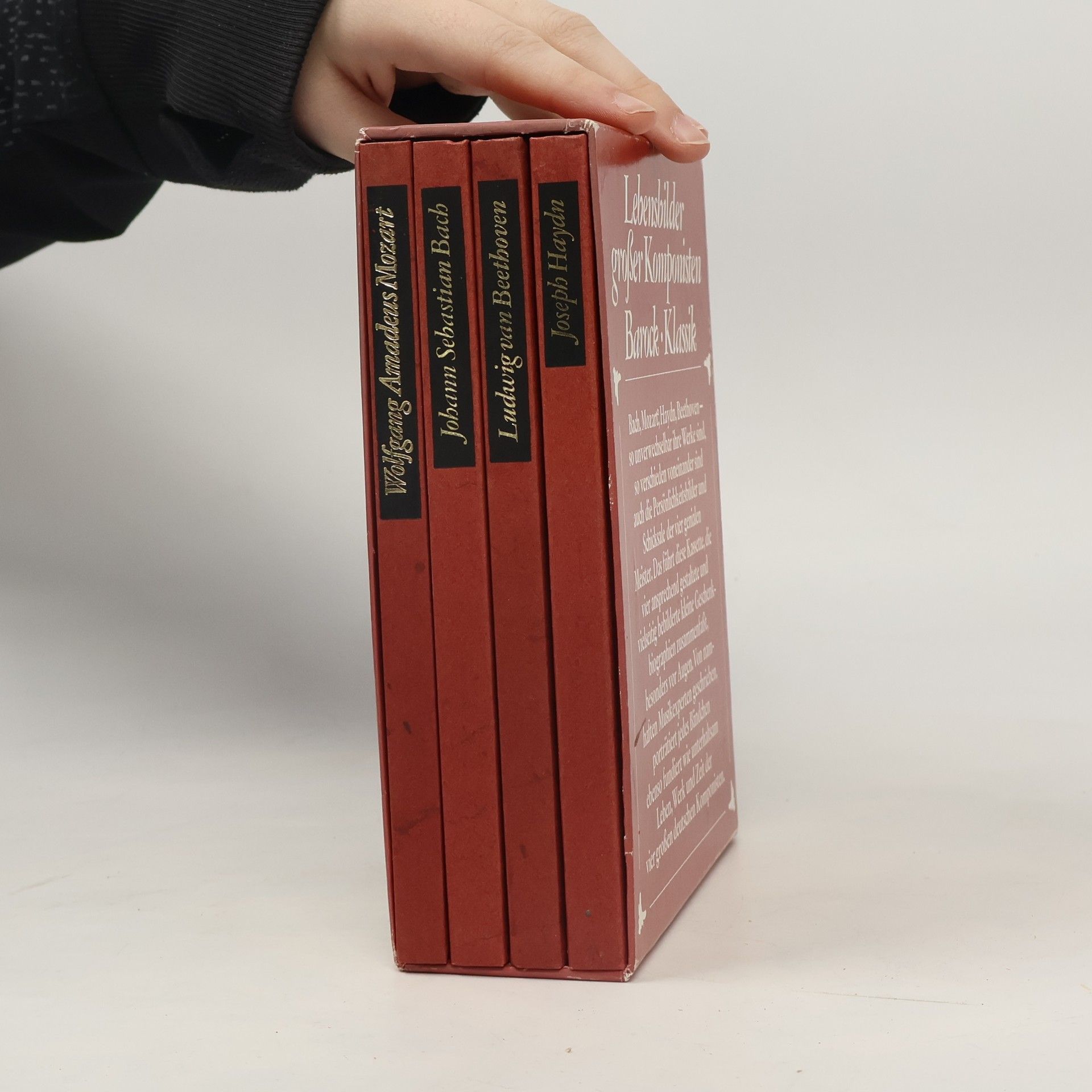 Kolektív autorov Lebensbilder großer Komponisten