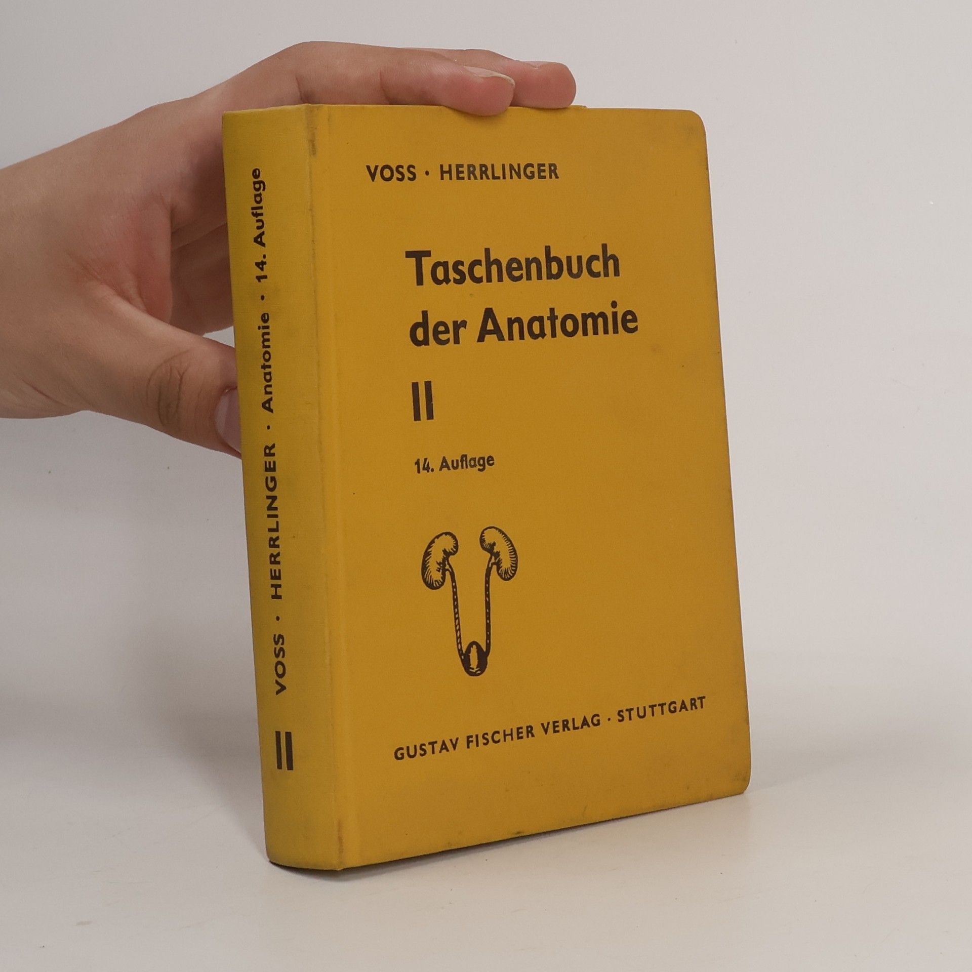 Taschenbuch der Anatomie