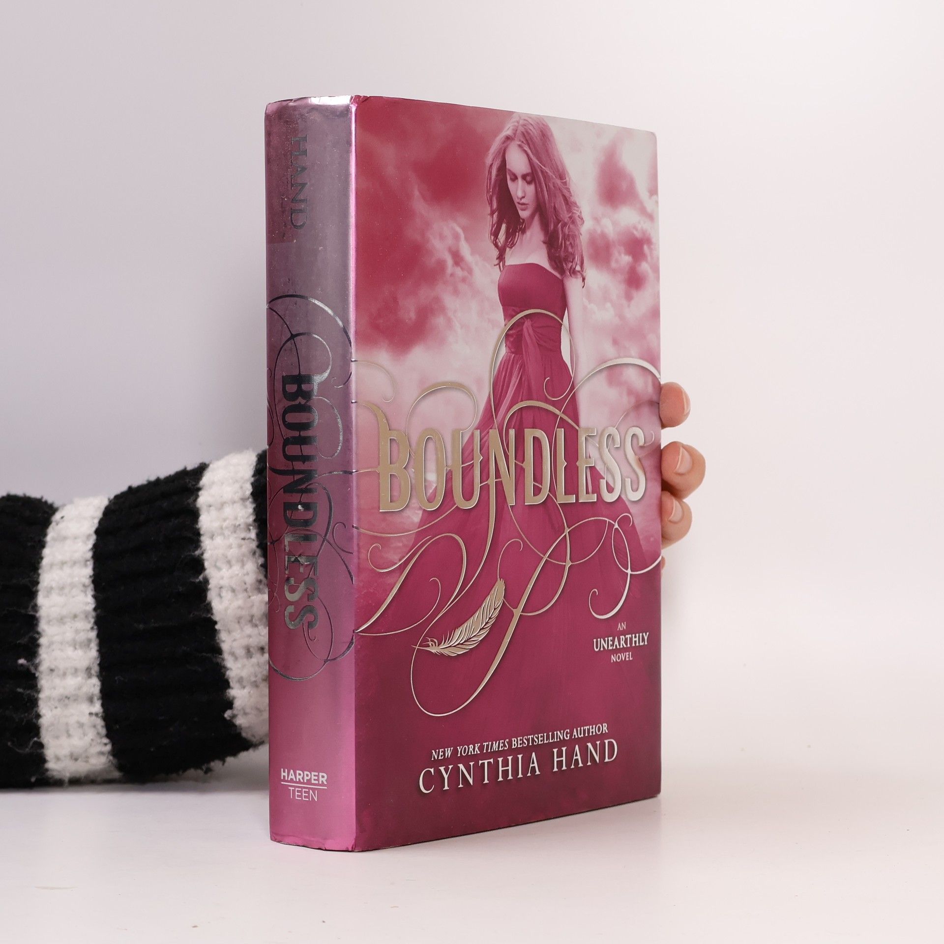 Cynthia Hand Boundless