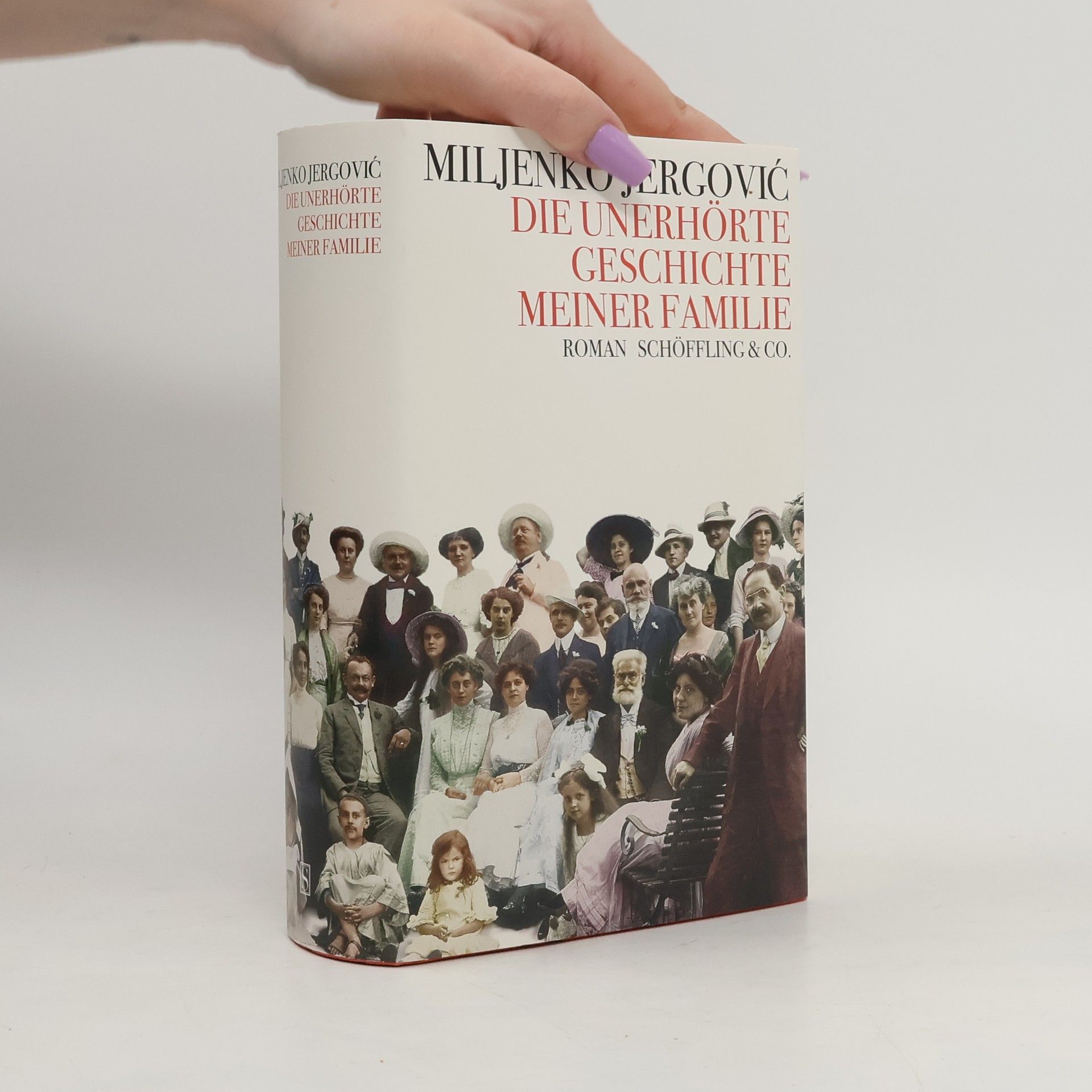 Miljenko Jergović Die unerhörte Geschichte meiner Familie