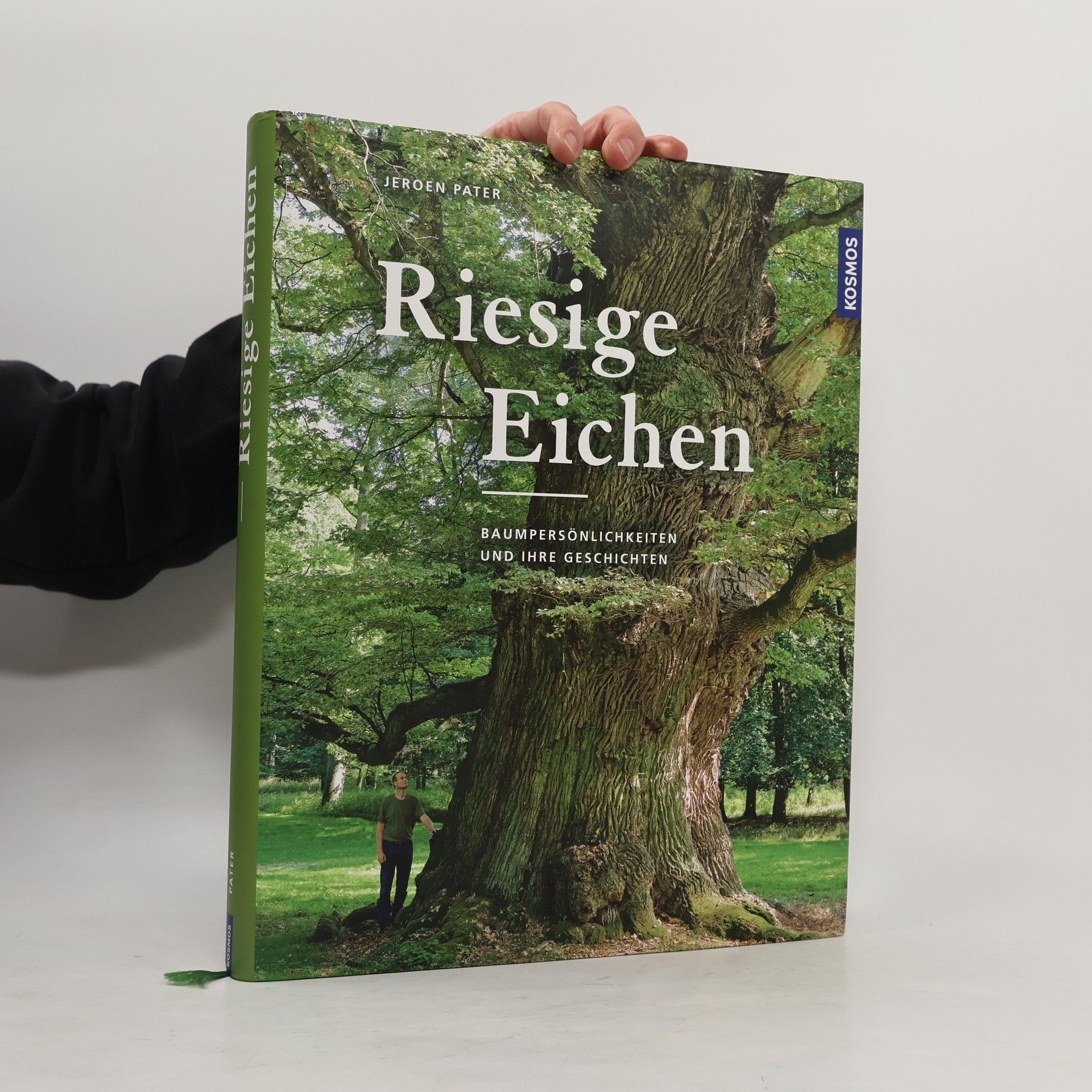 Jeroen Pater Riesige Eichen