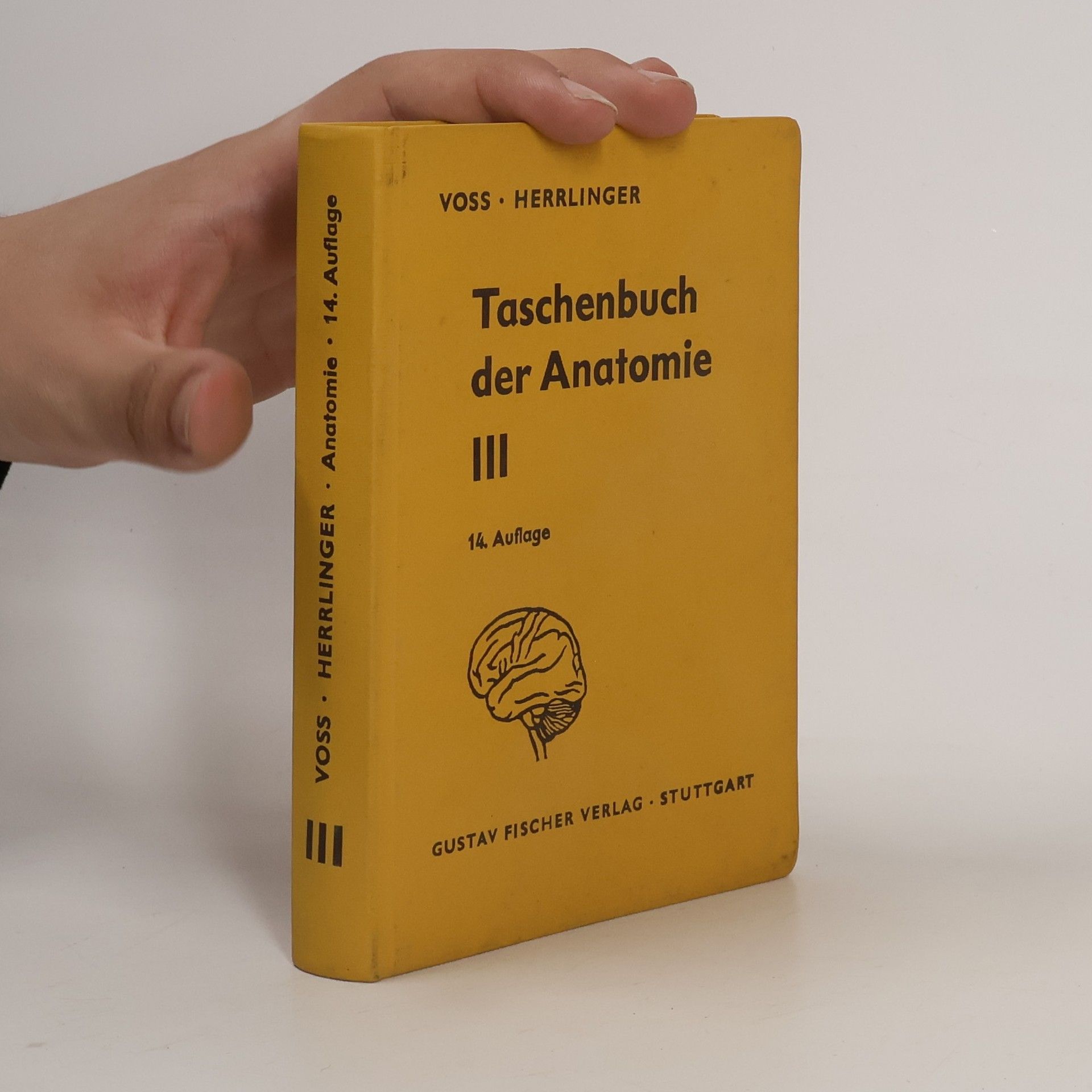 Autorenkollektiv Taschenbuch der Anatomie. Band III