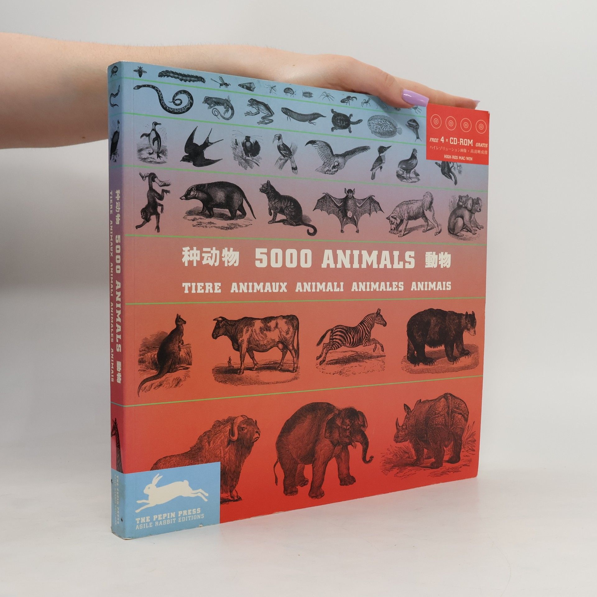 Autorenkollektiv Großer Bildvorlagenatlas 5.000 Tiere mid 4 CD-ROMs