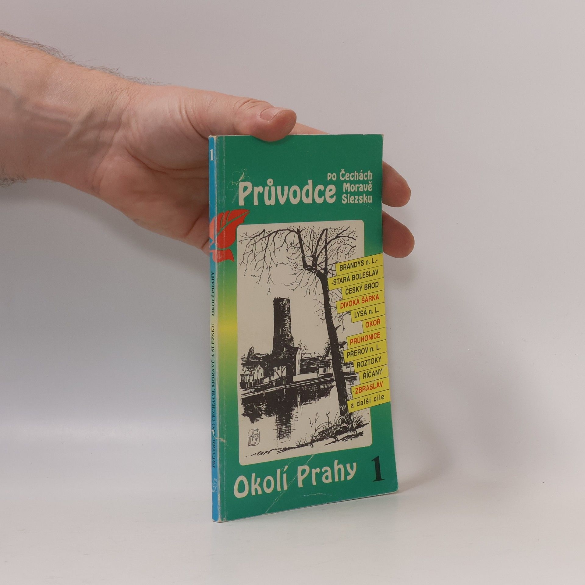 P. David Okolí Prahy