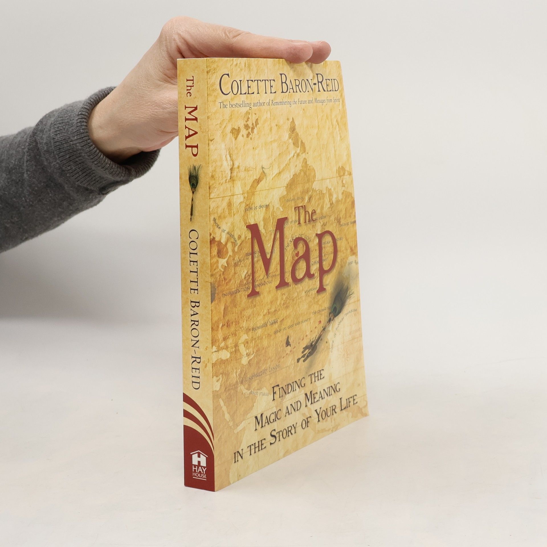 Colette Baron Reid The Map