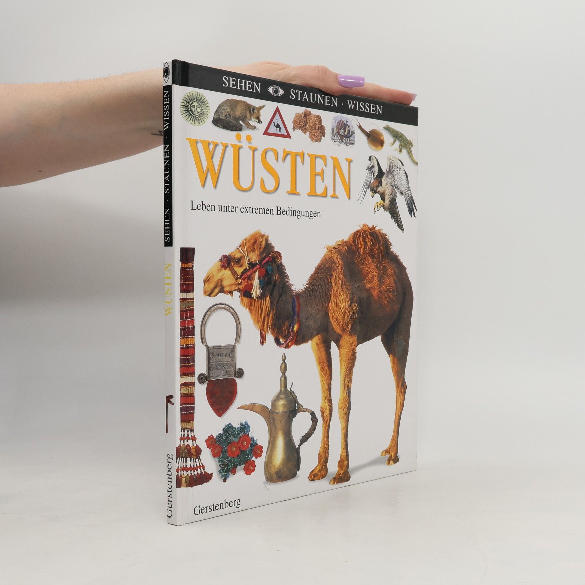 Wüsten