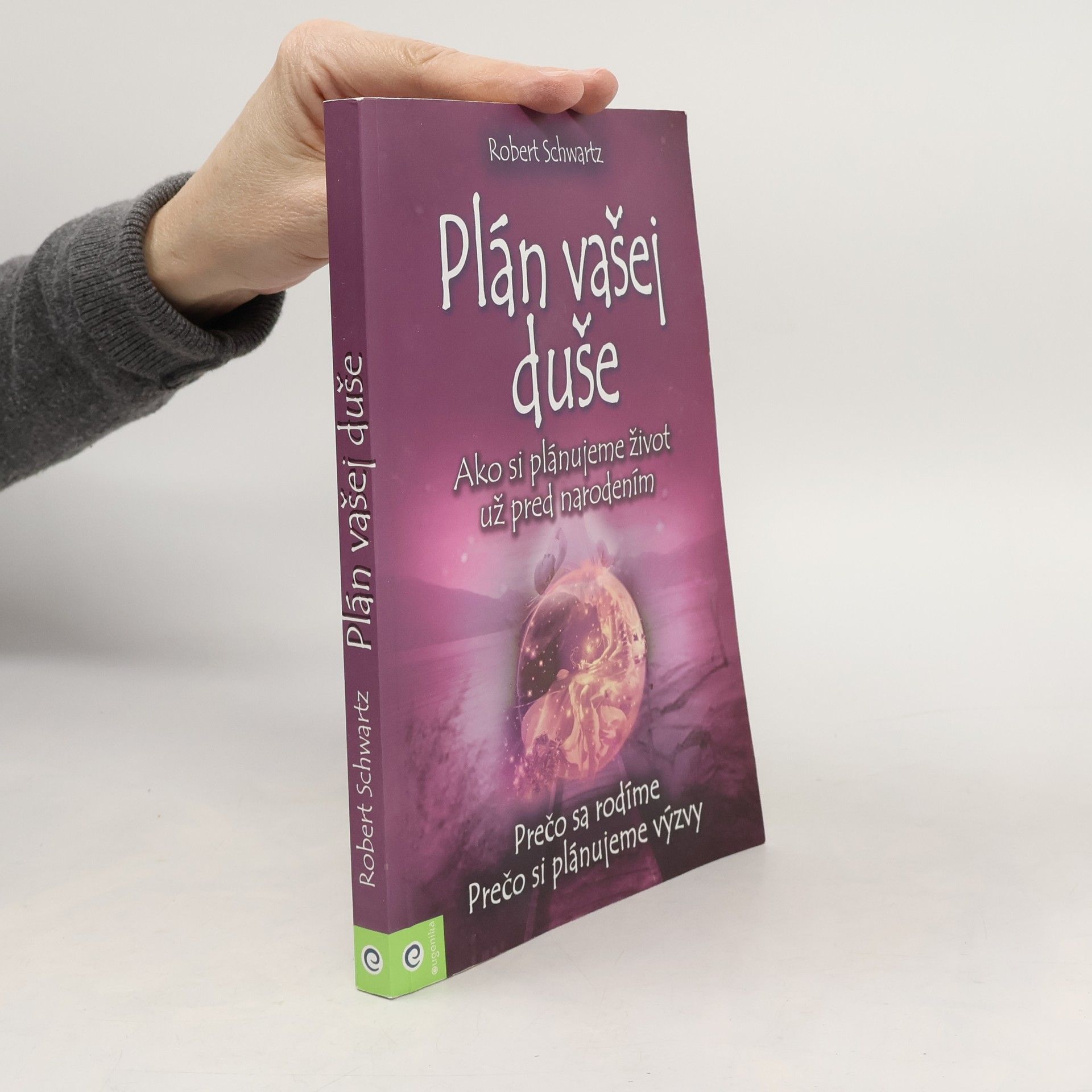 Robert Schwartz Plán vašej duše