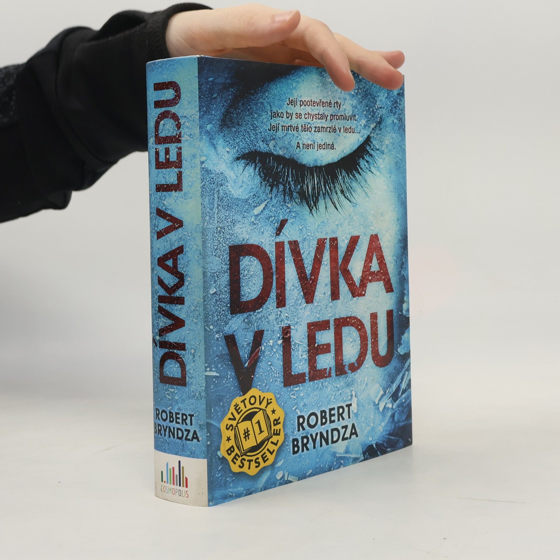 Robert Bryndza Dívka v ledu