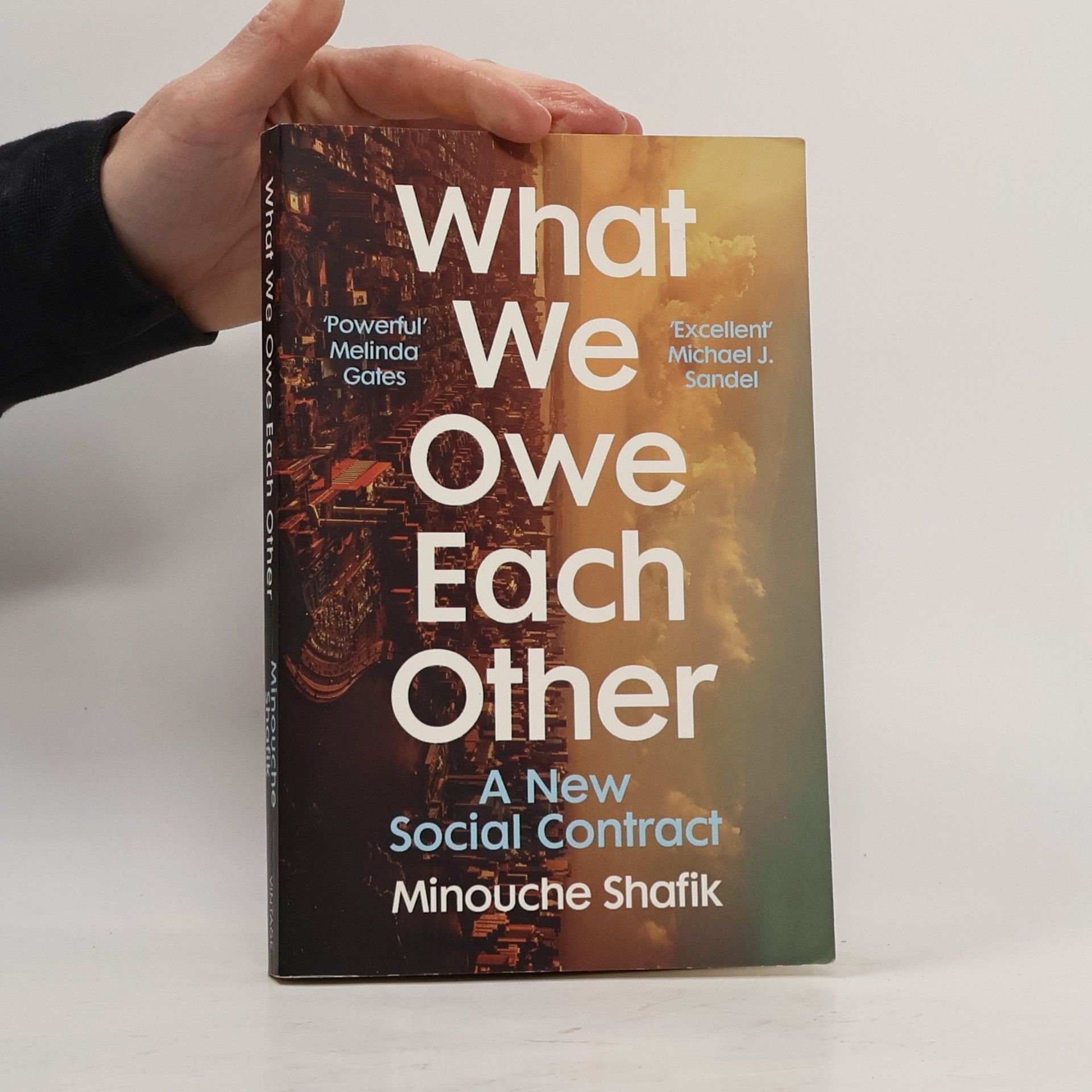 Minouche Shafik What We Owe Each Other