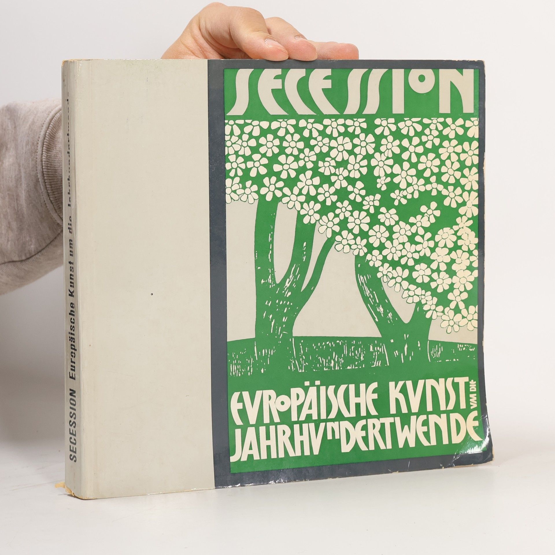 Kolektiv autorů Secession. Europäische Kunst um die Jahrhundertwende