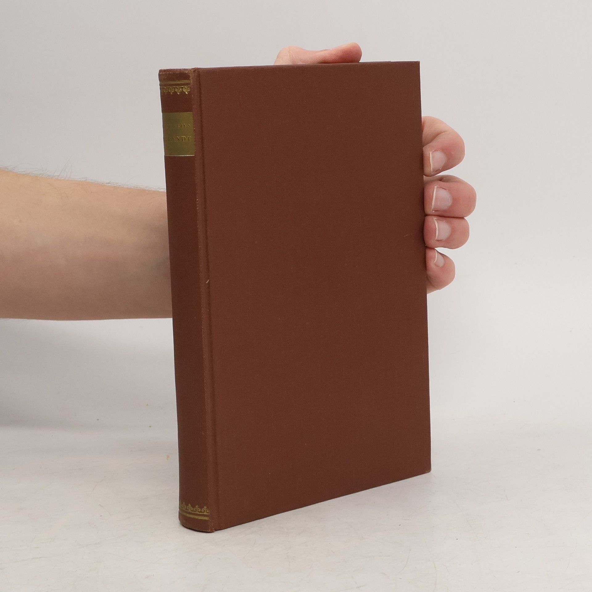 Theun de Vries Rembrandt