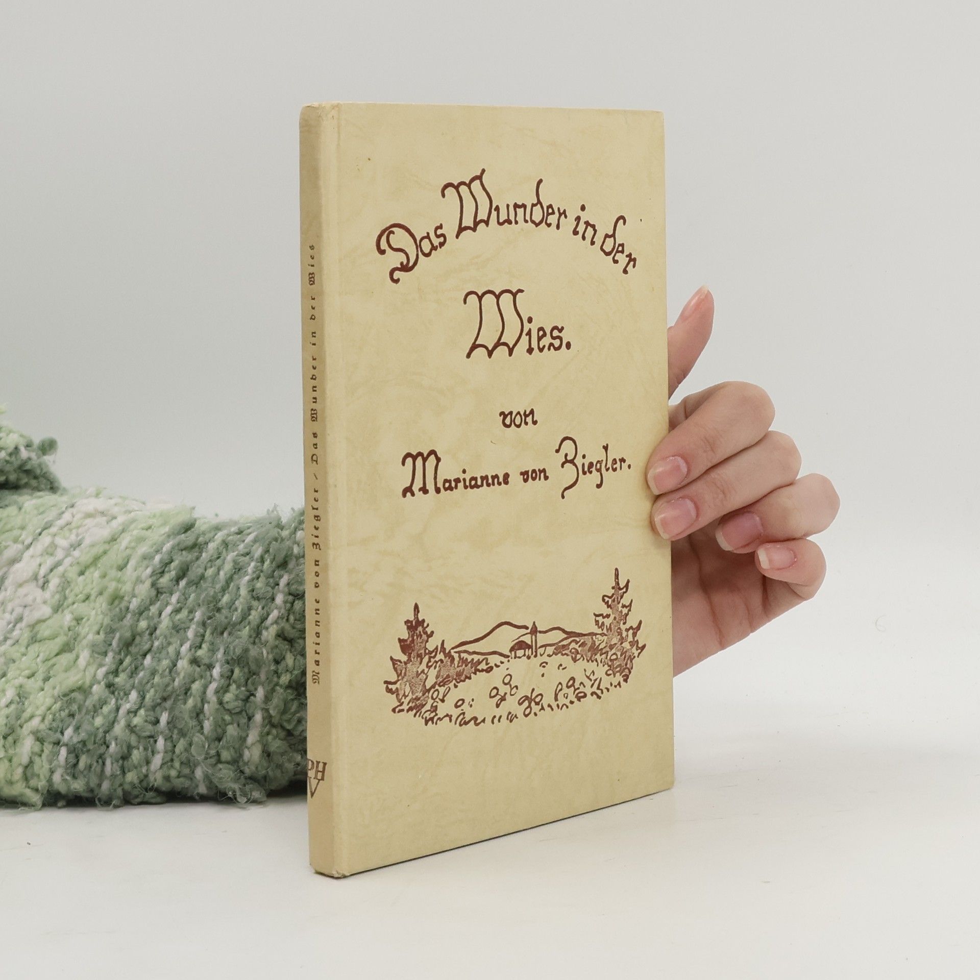 Marianne von Riegler Das Wunder in der Wies