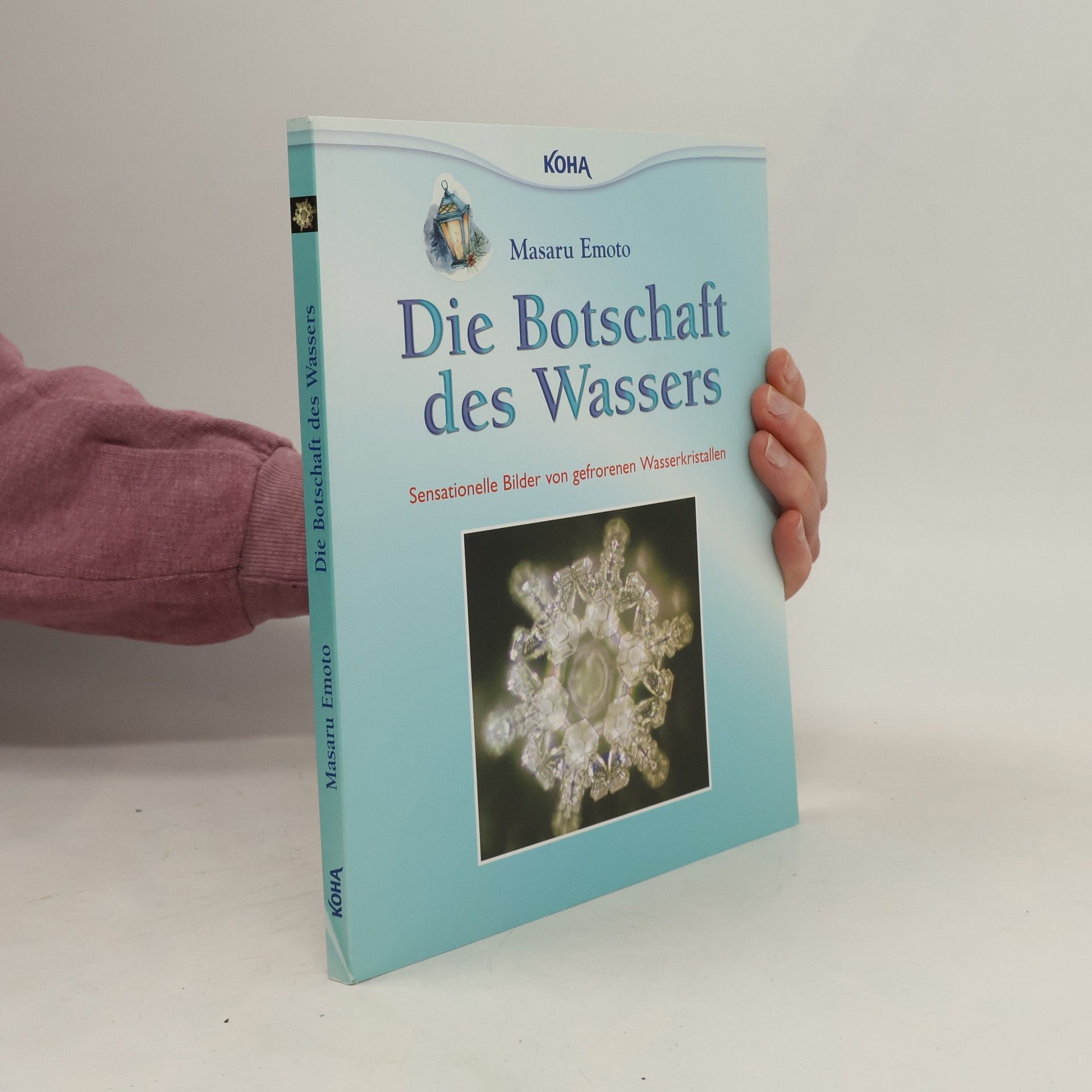 Masaru Emoto Die Botschaft des Wassers
