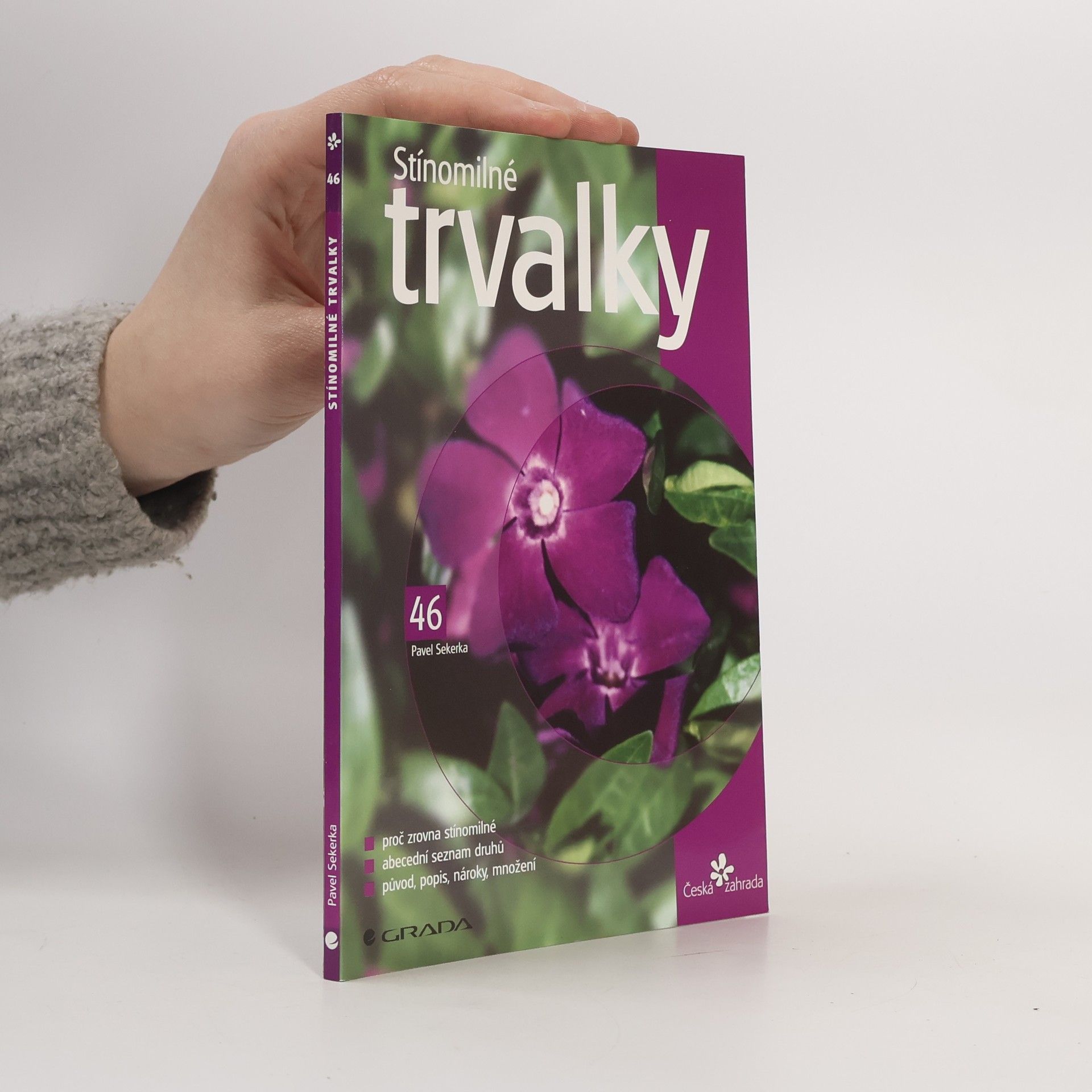 Stínomilné trvalky