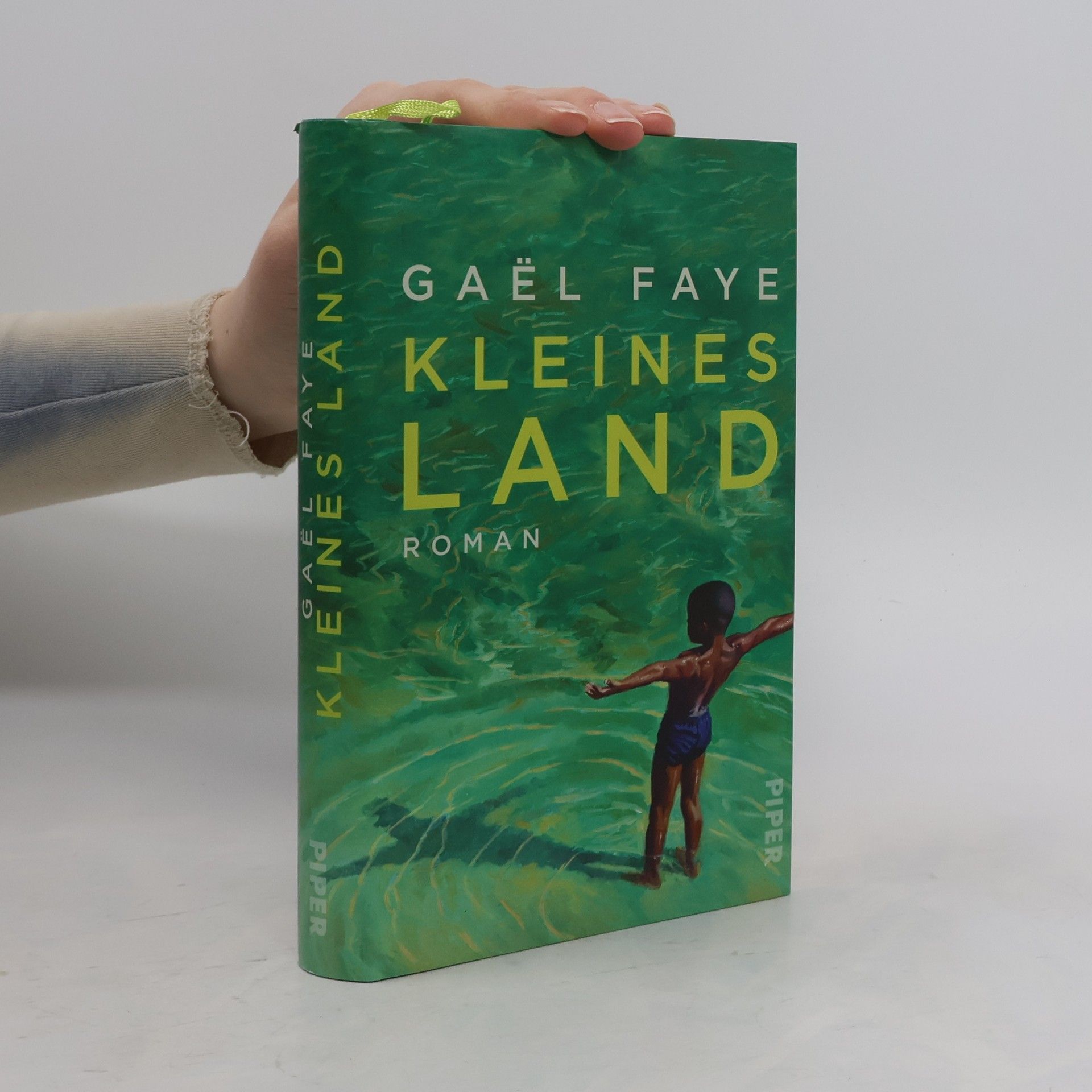 Gaël Faye Kleines Land