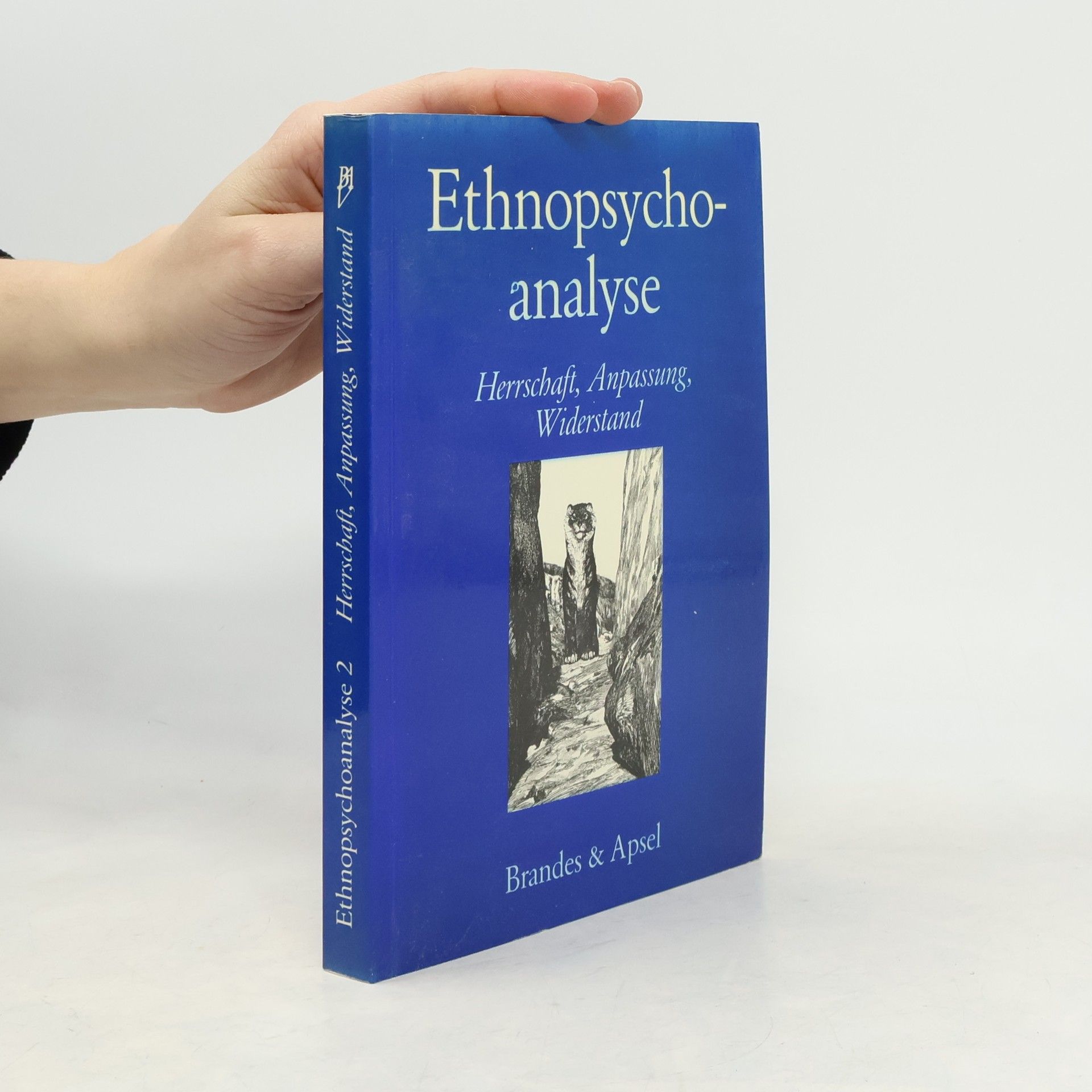 Eva Maria Blum Ethnopsychoanalyse