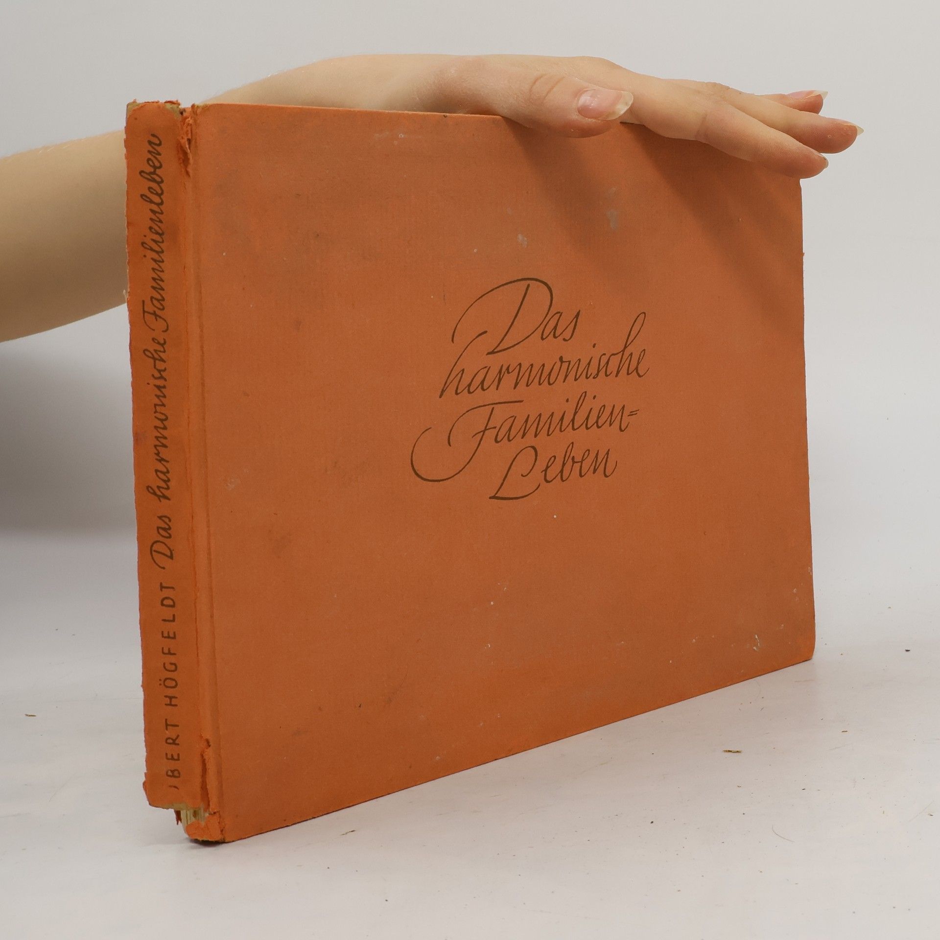 Robert Högfeldt Das harmonische Familienleben