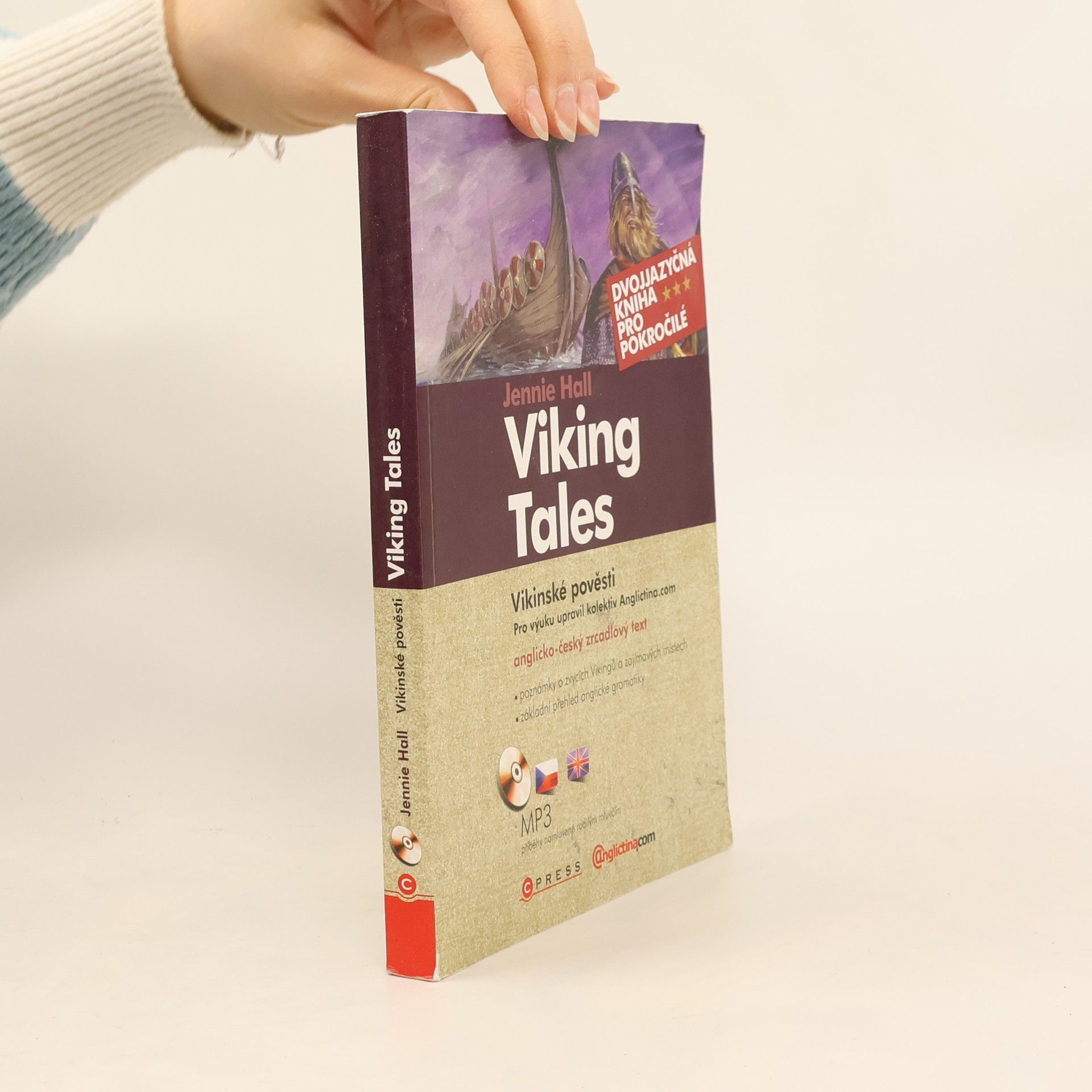 Viking tales: Vikinské pověsti