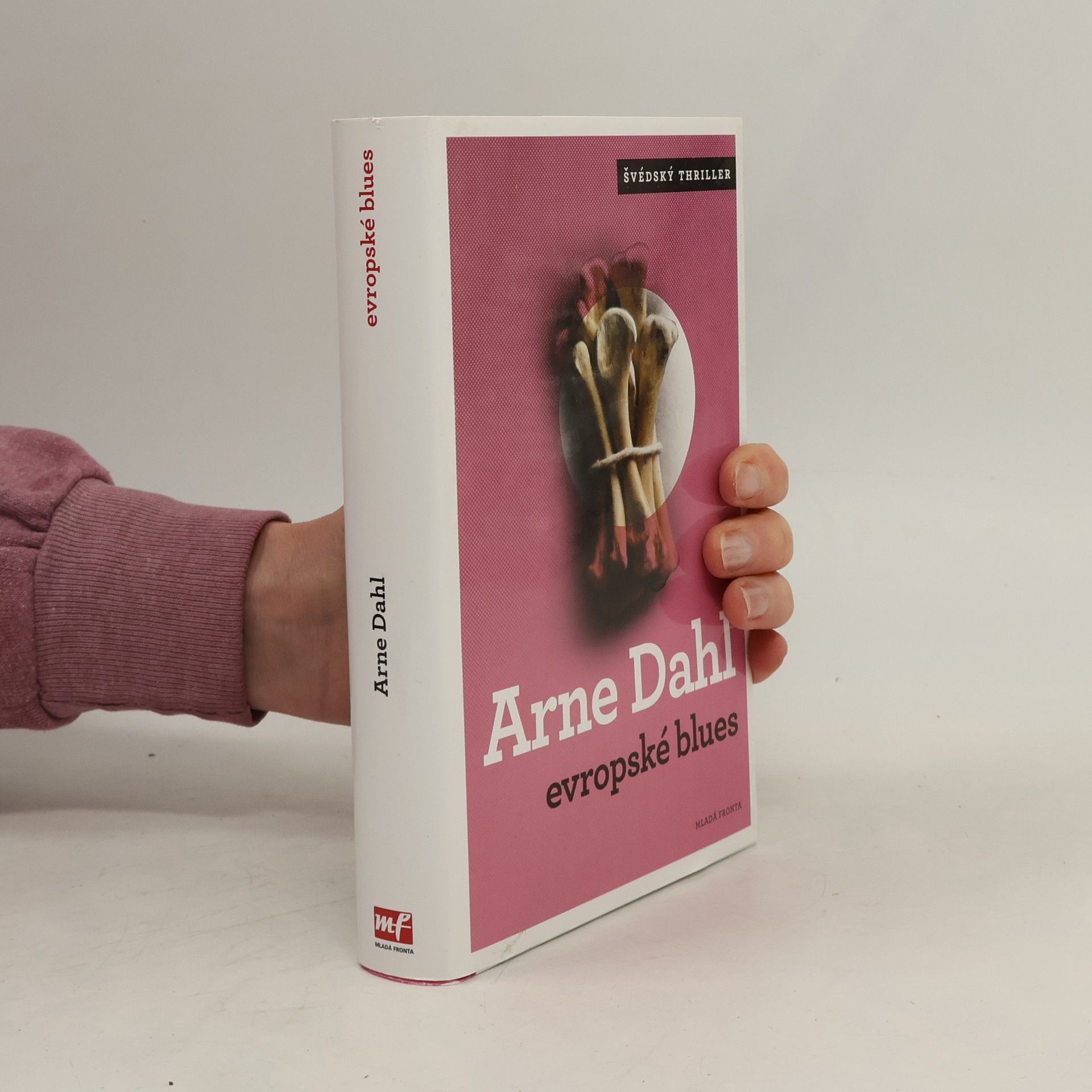 Arne Dahl Evropské blues