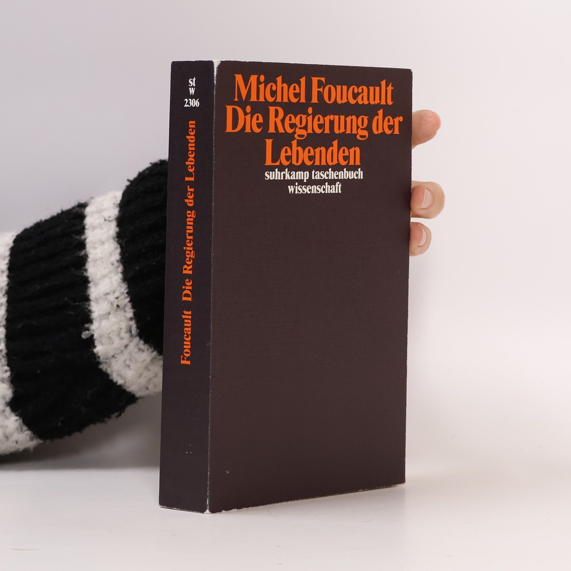 Michel Foucault Die Regierung der Lebenden