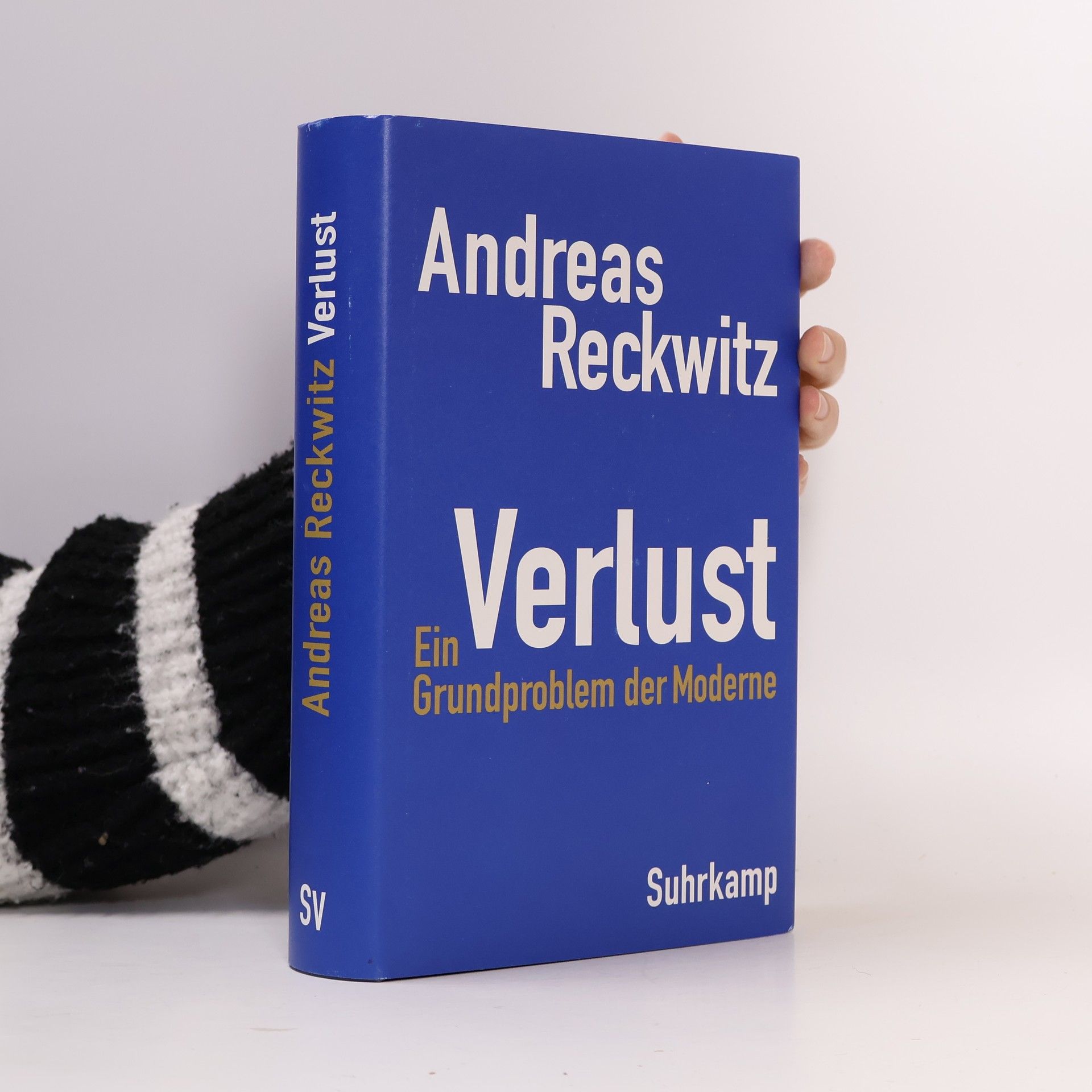 Andreas Reckwitz Verlust