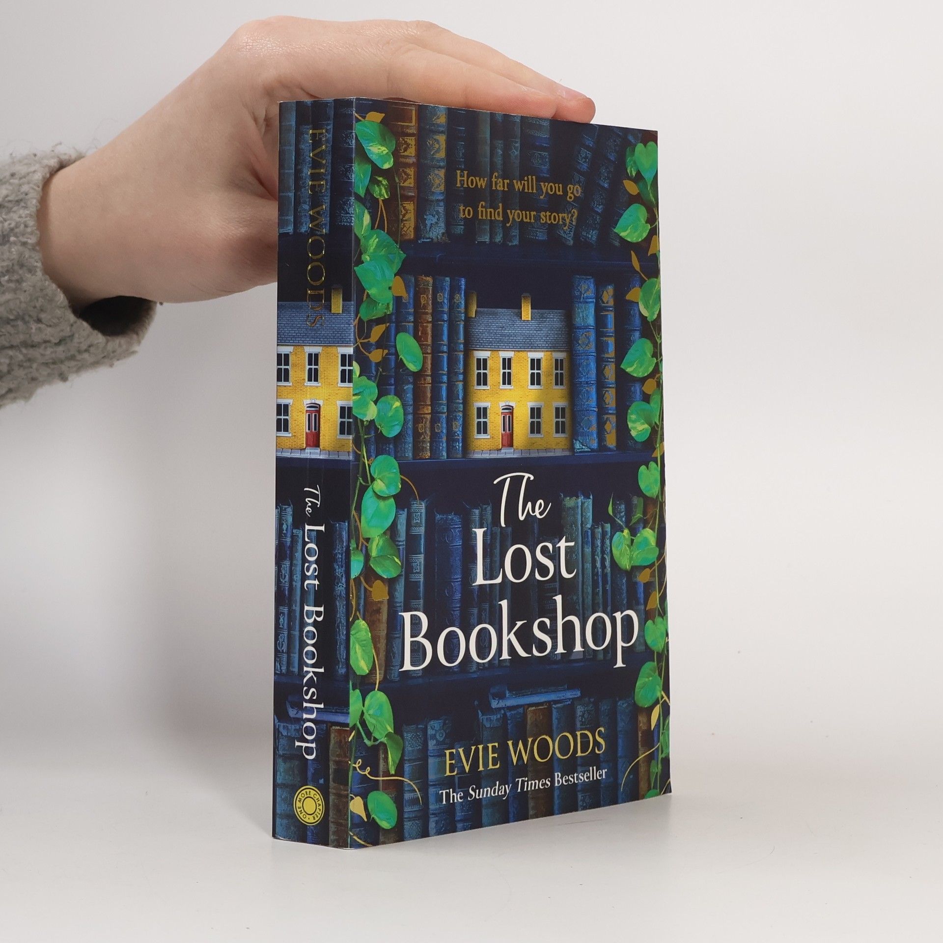 Evie Woods The Lost Bookshop