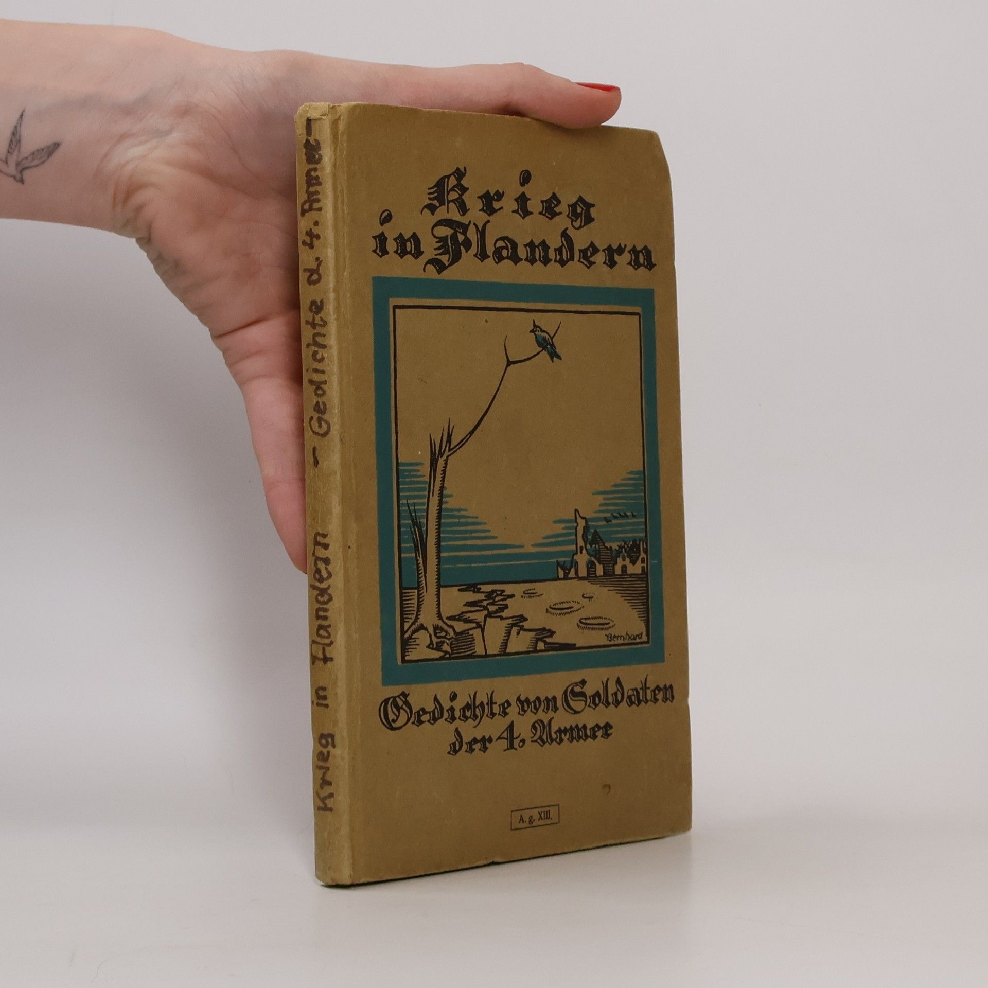 Kolektív autorov Krieg in Flandern 1