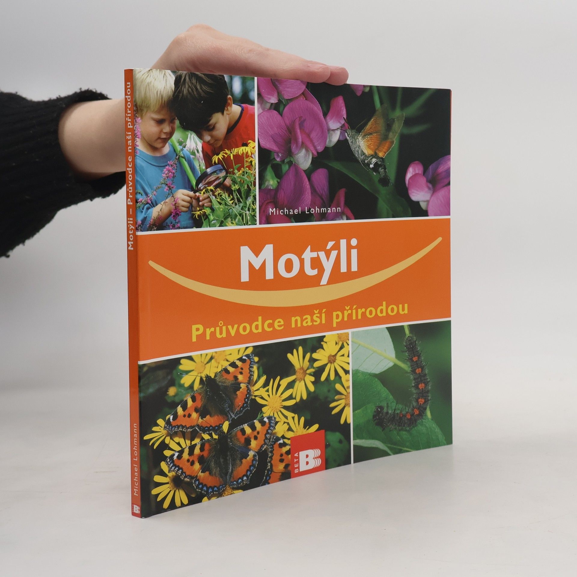 Michael Lohmann Motýli - Průvodce naší přírodou