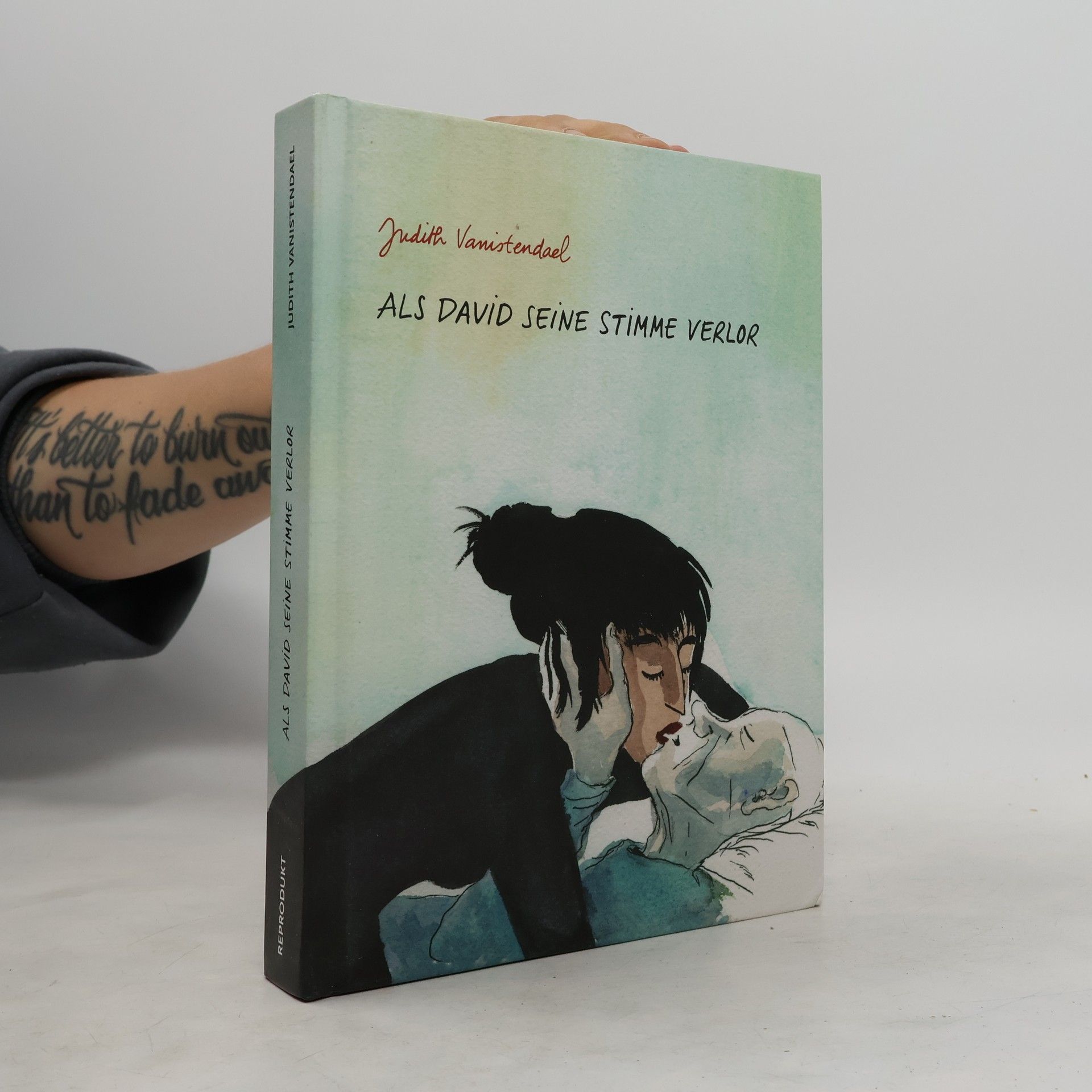 Judith Vanistendael Als David seine Stimme verlor