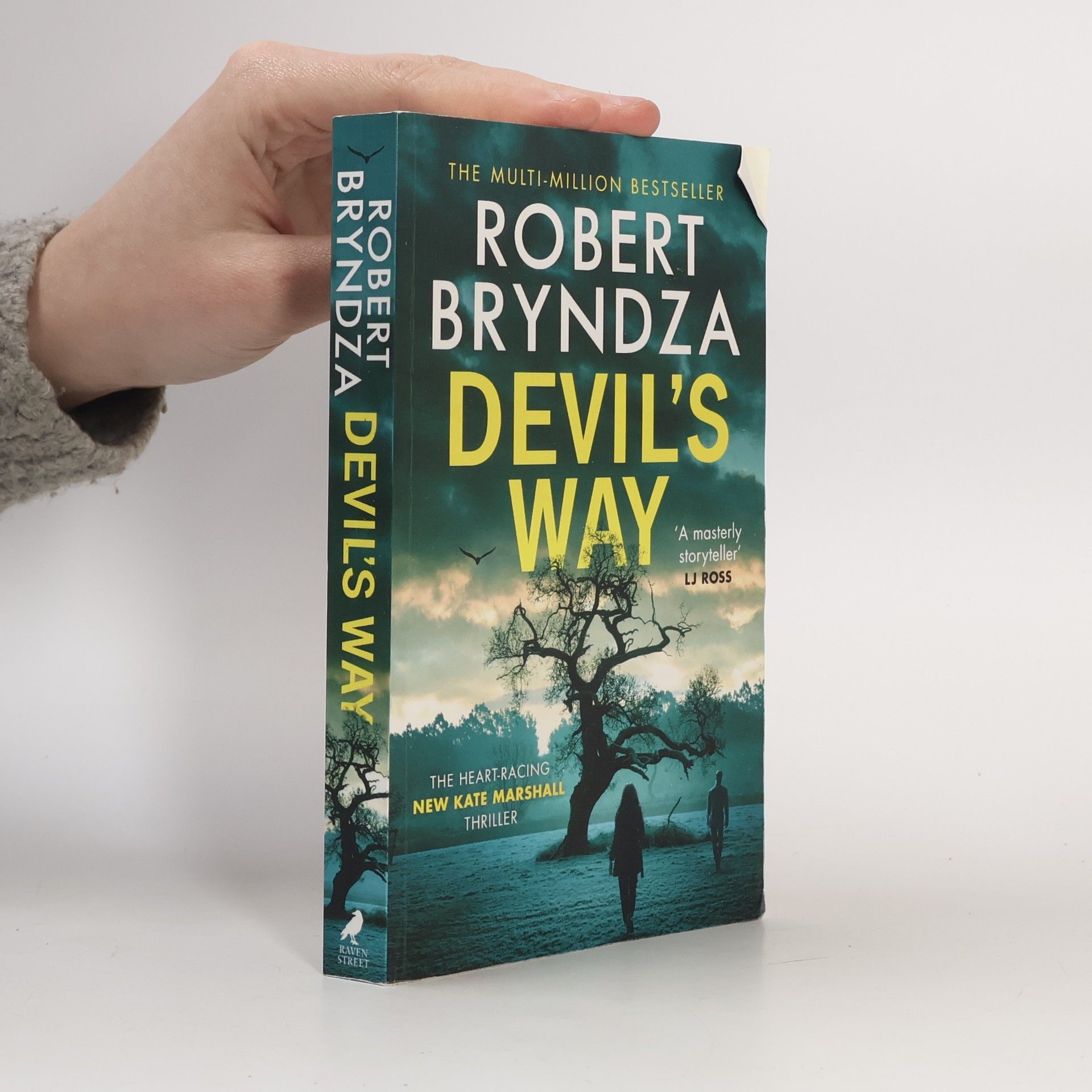 Robert Bryndza Devil´s Way