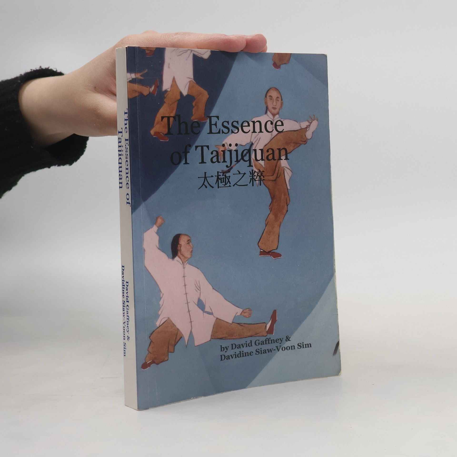 Kolektiv autorů Chen Style Taijiquan