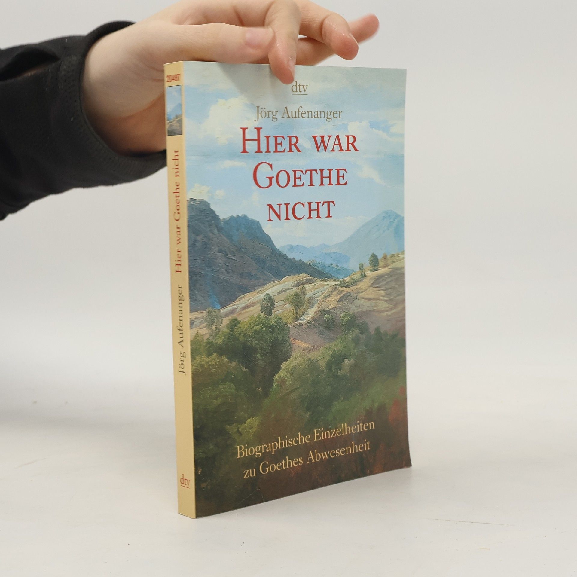 Jörg Aufenanger Hier war Goethe nicht