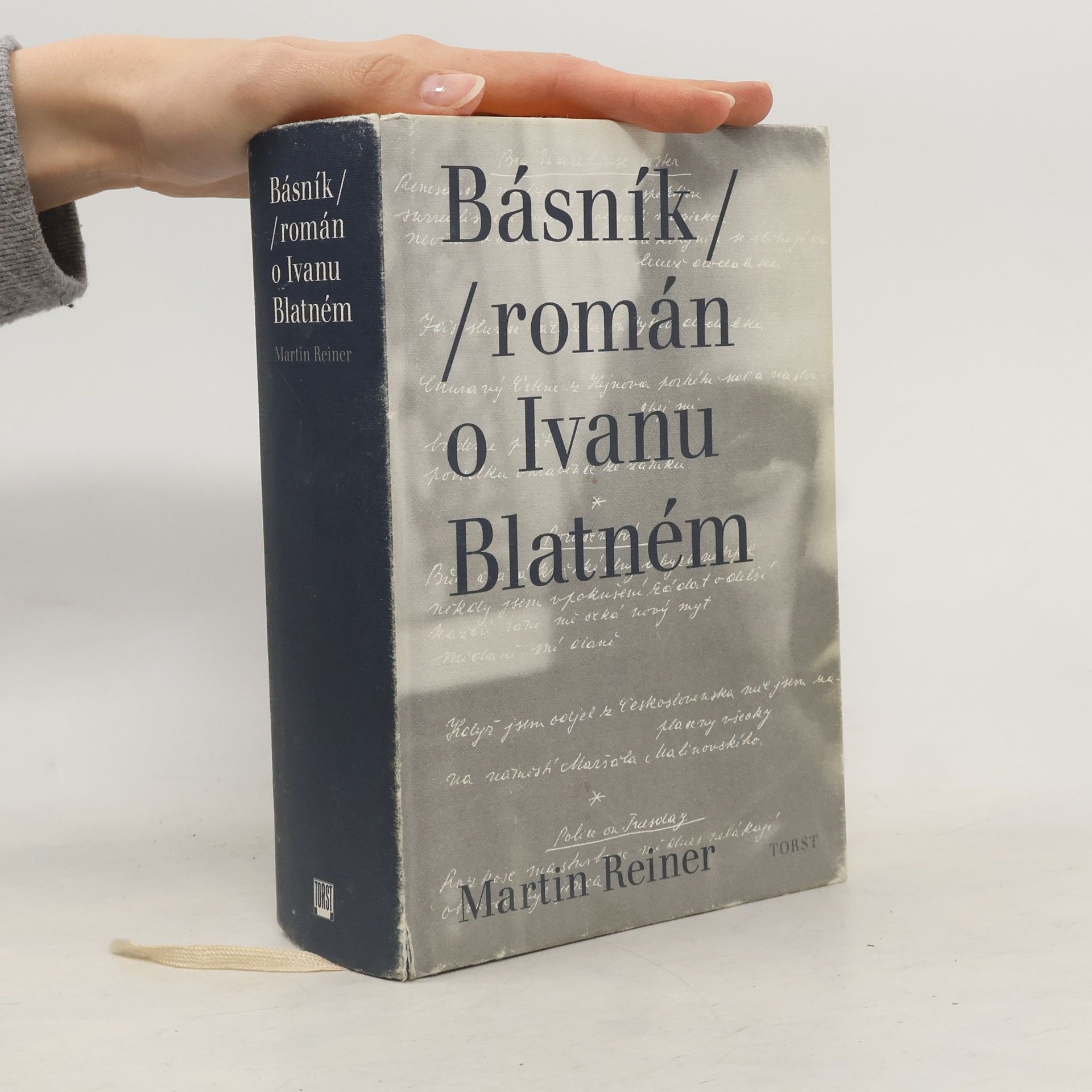 Martin Reiner Básník. Román o Ivanu Blatném