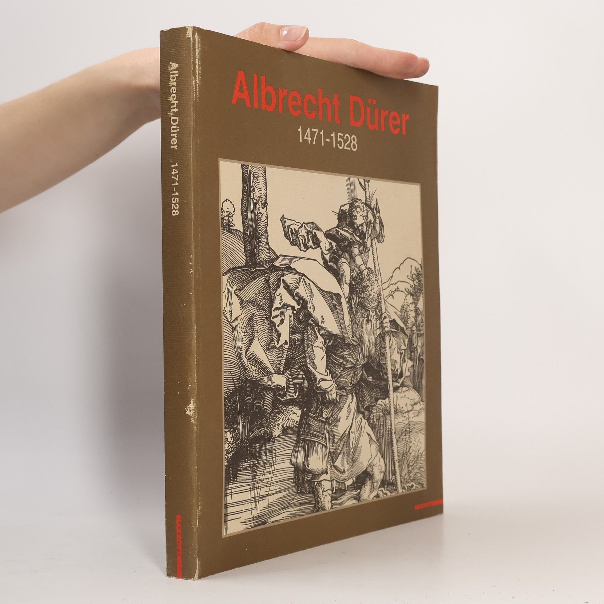 Kolektiv autorů Albrecht Dürer 1471-1528