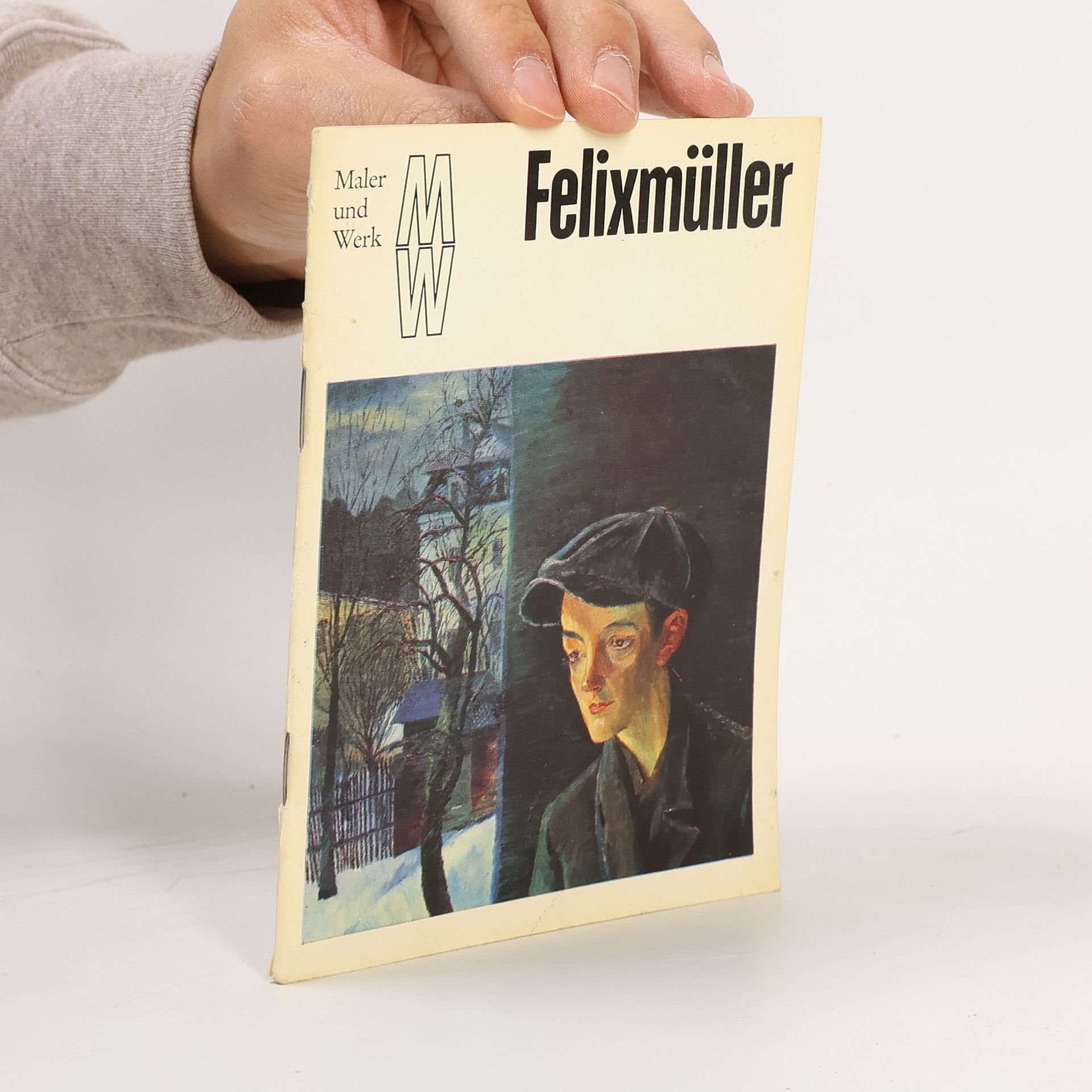 Kolektiv autorů Maler und Werk. Felixmüller