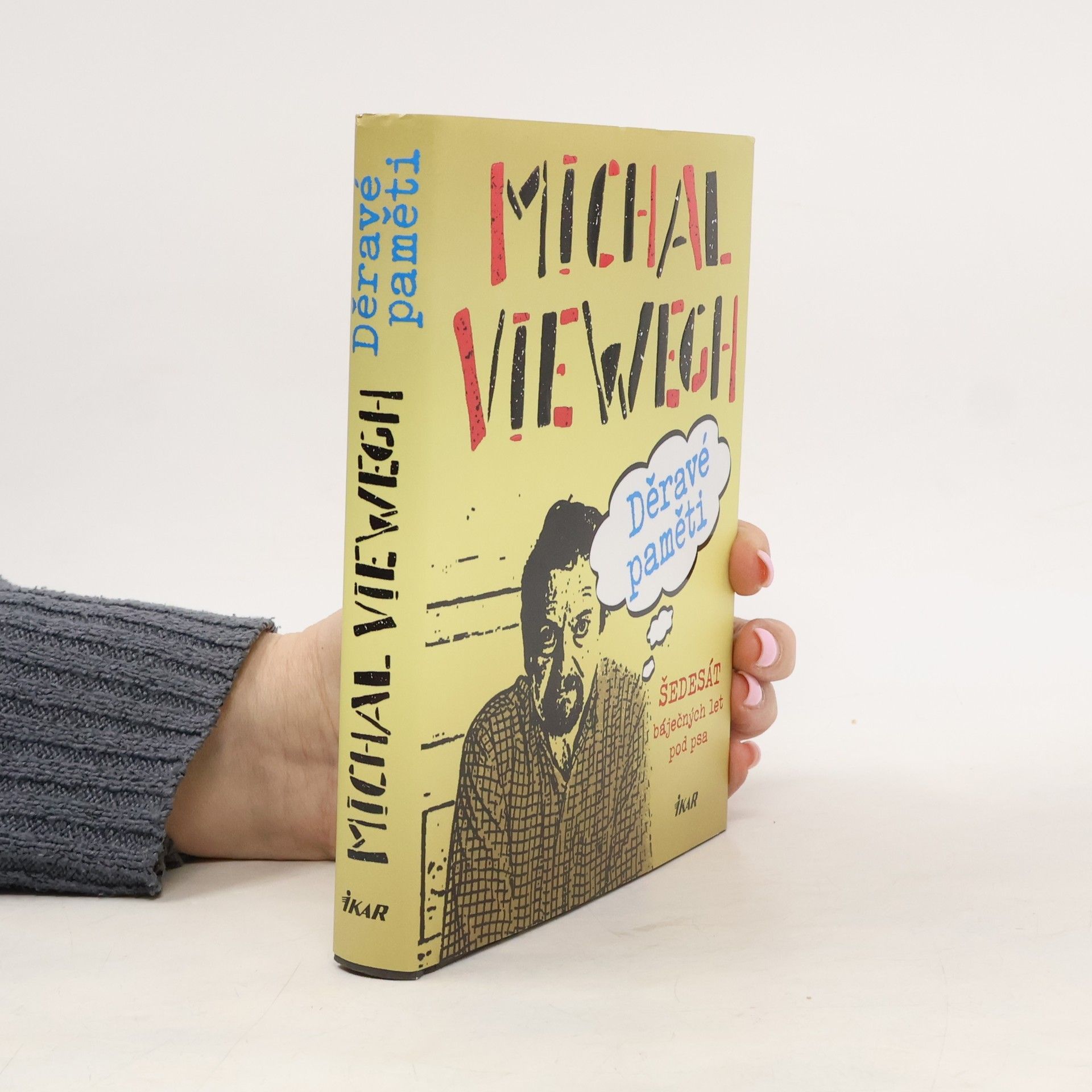 Michal Viewegh Děravé paměti