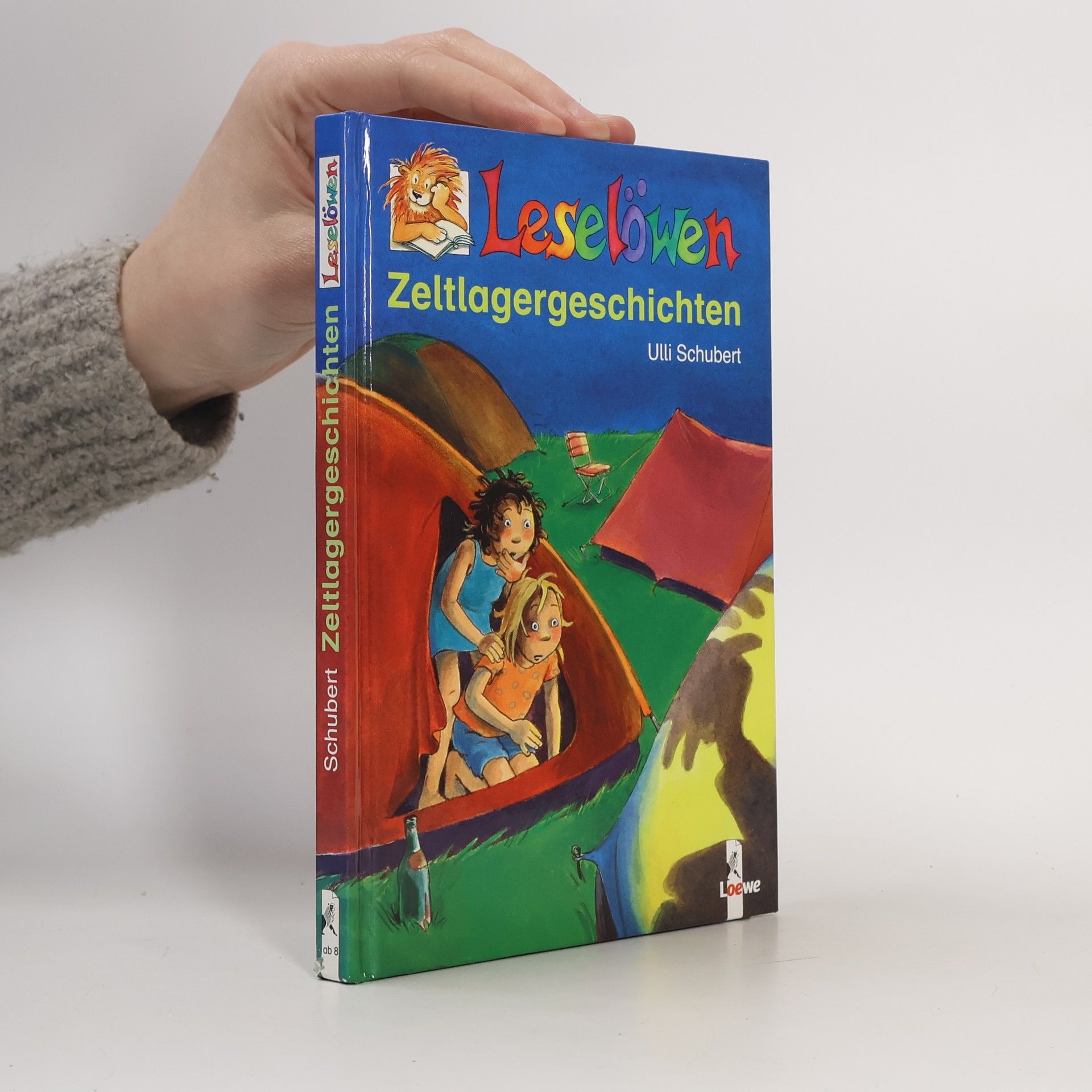 Leselöwen-Zeltlagergeschichten