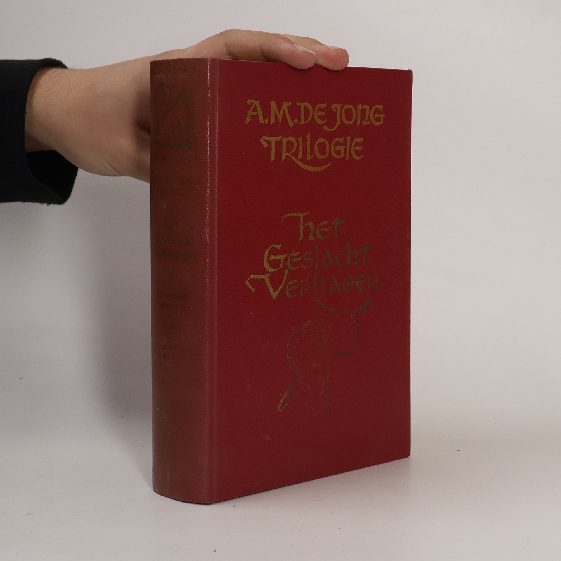 A.M. de Jong Trilogie. Het Geslacht Verhagen