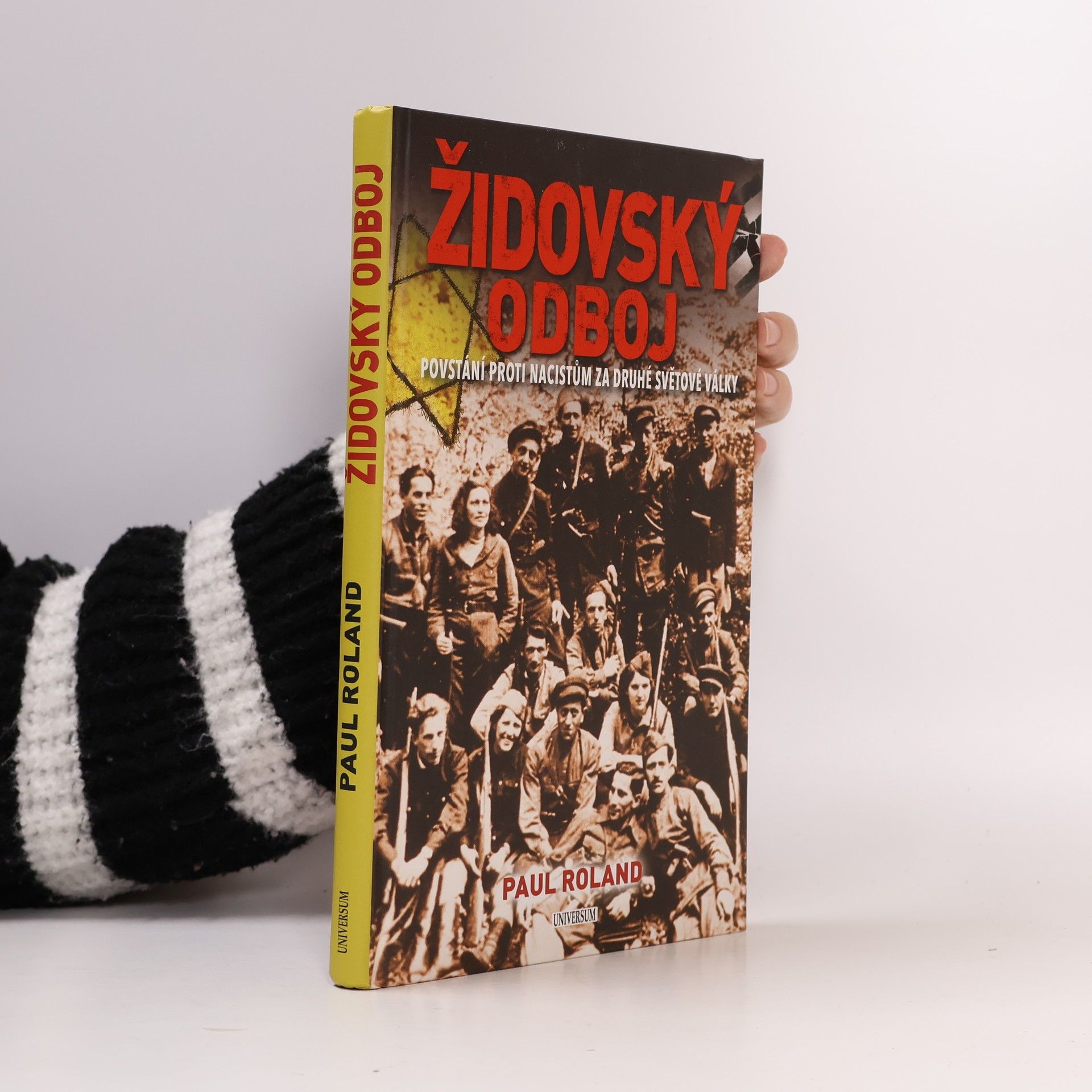 Židovský odboj: Povstání proti nacistům za druhé světové války