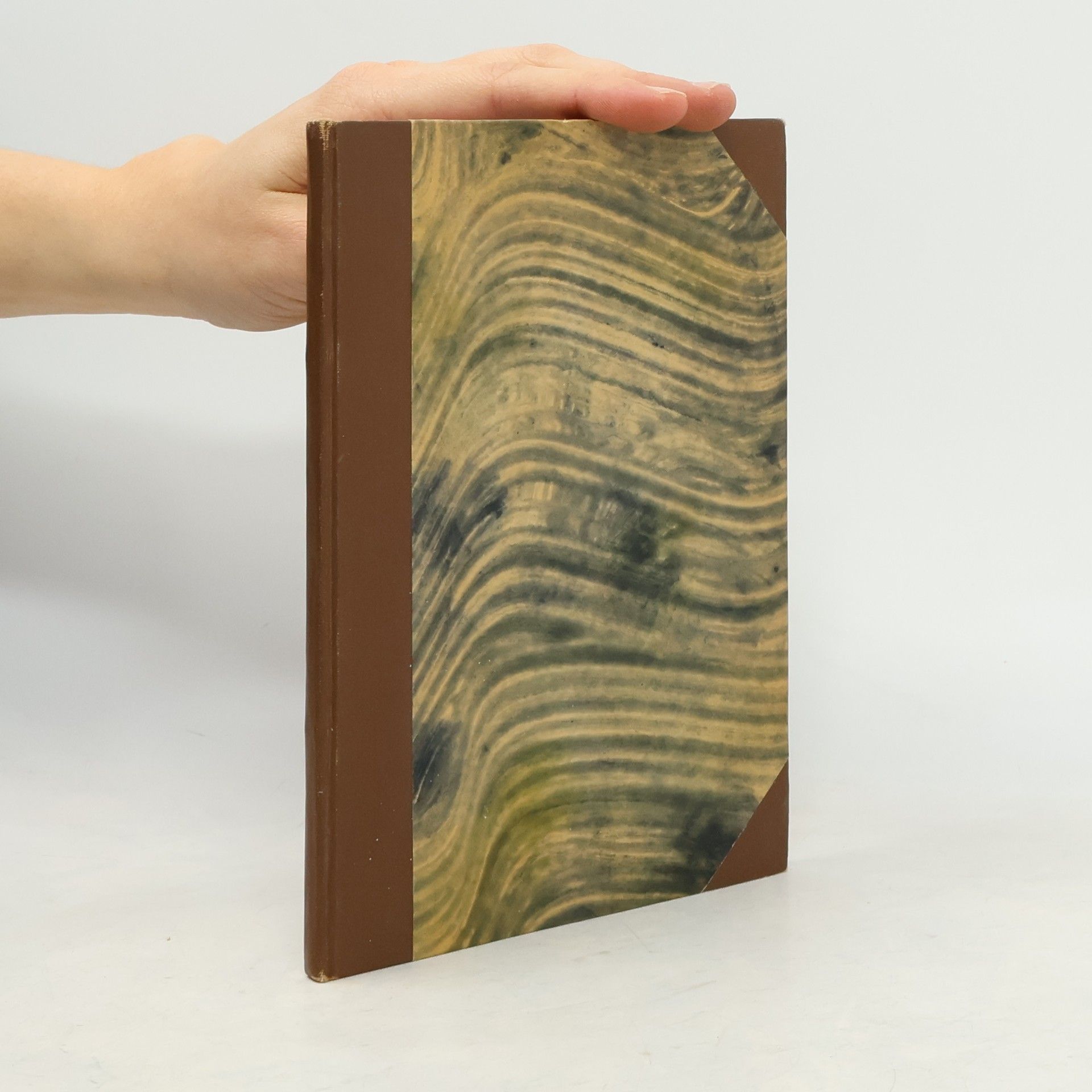 Náboženství a moderní ideál člověka