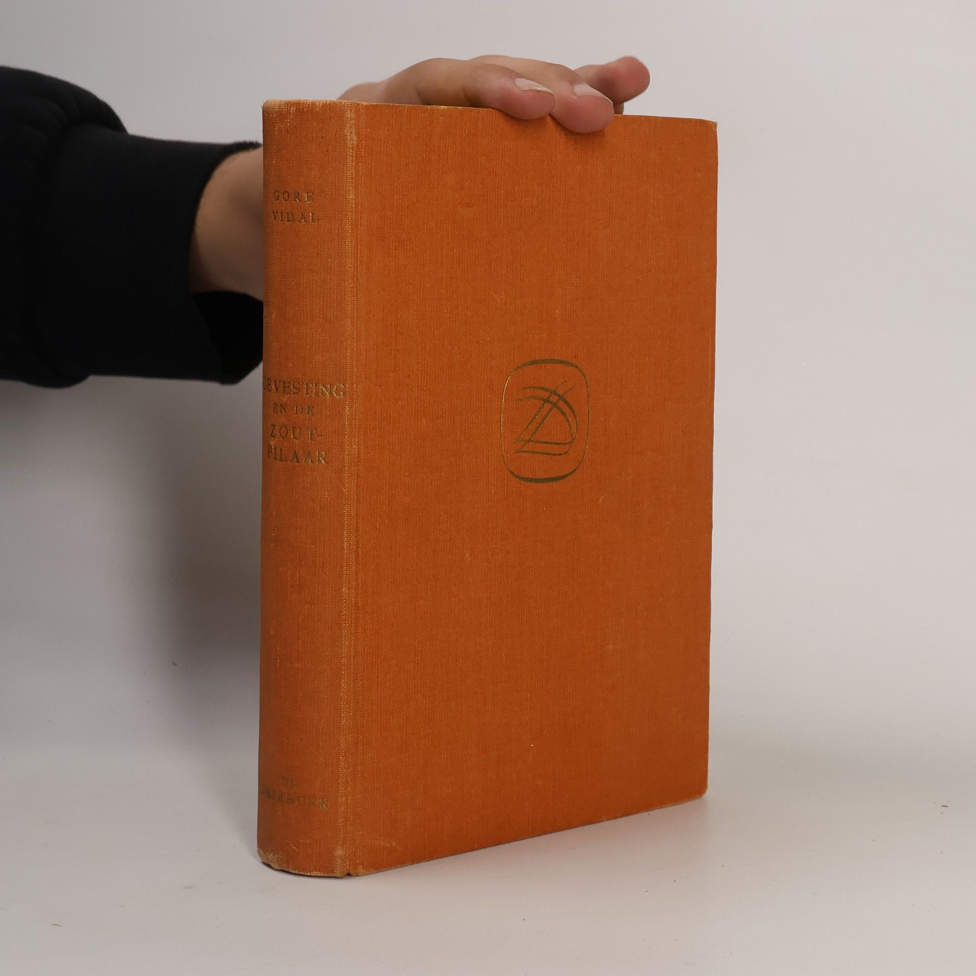 De Vesting en de Zoutpilaar