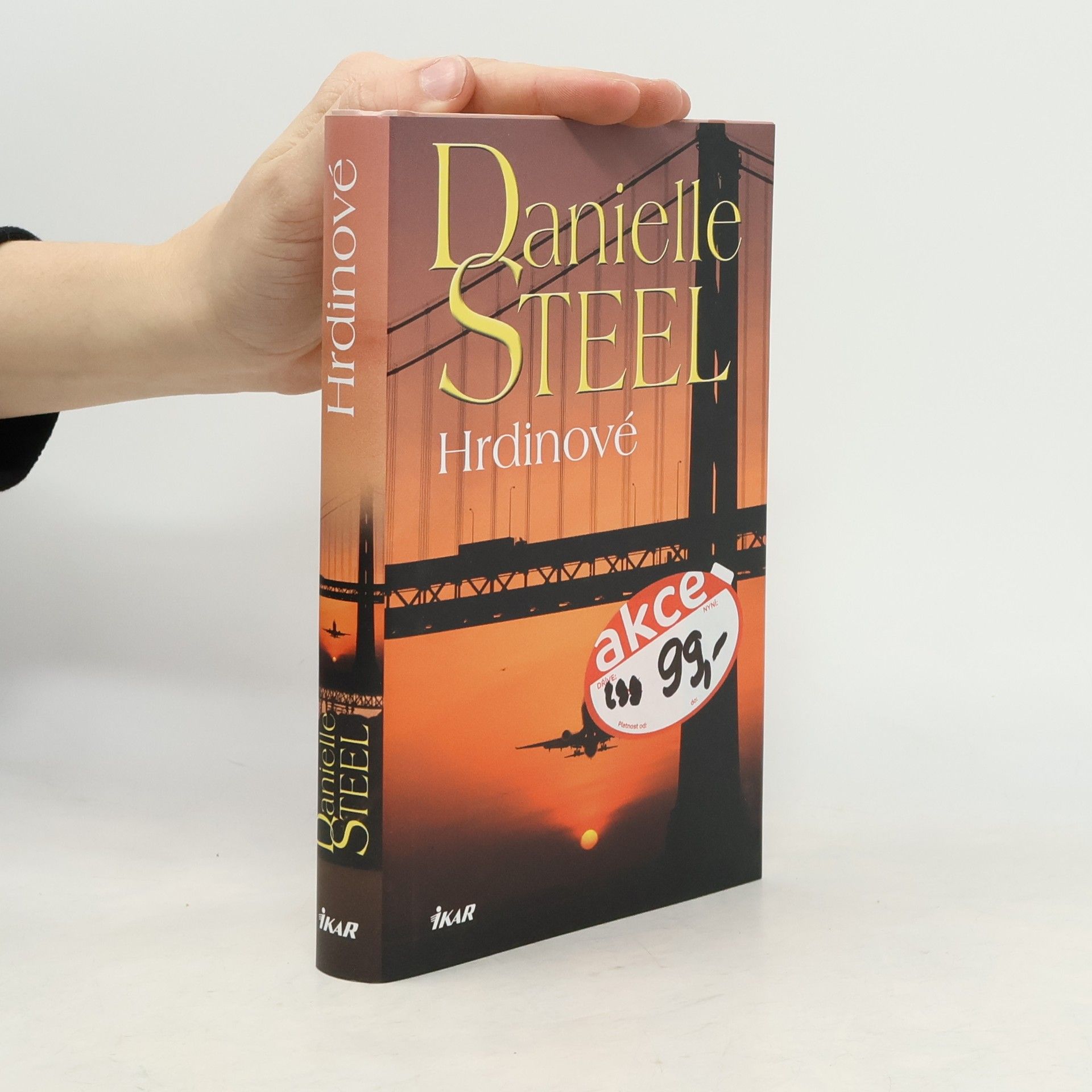Danielle Steel Hrdinové