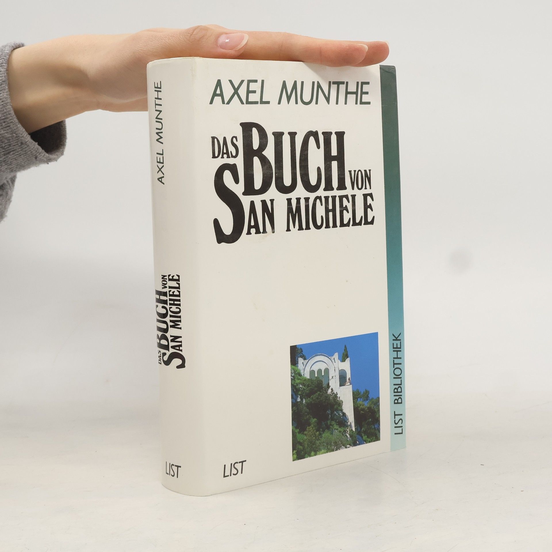 Das Buch von San Michele