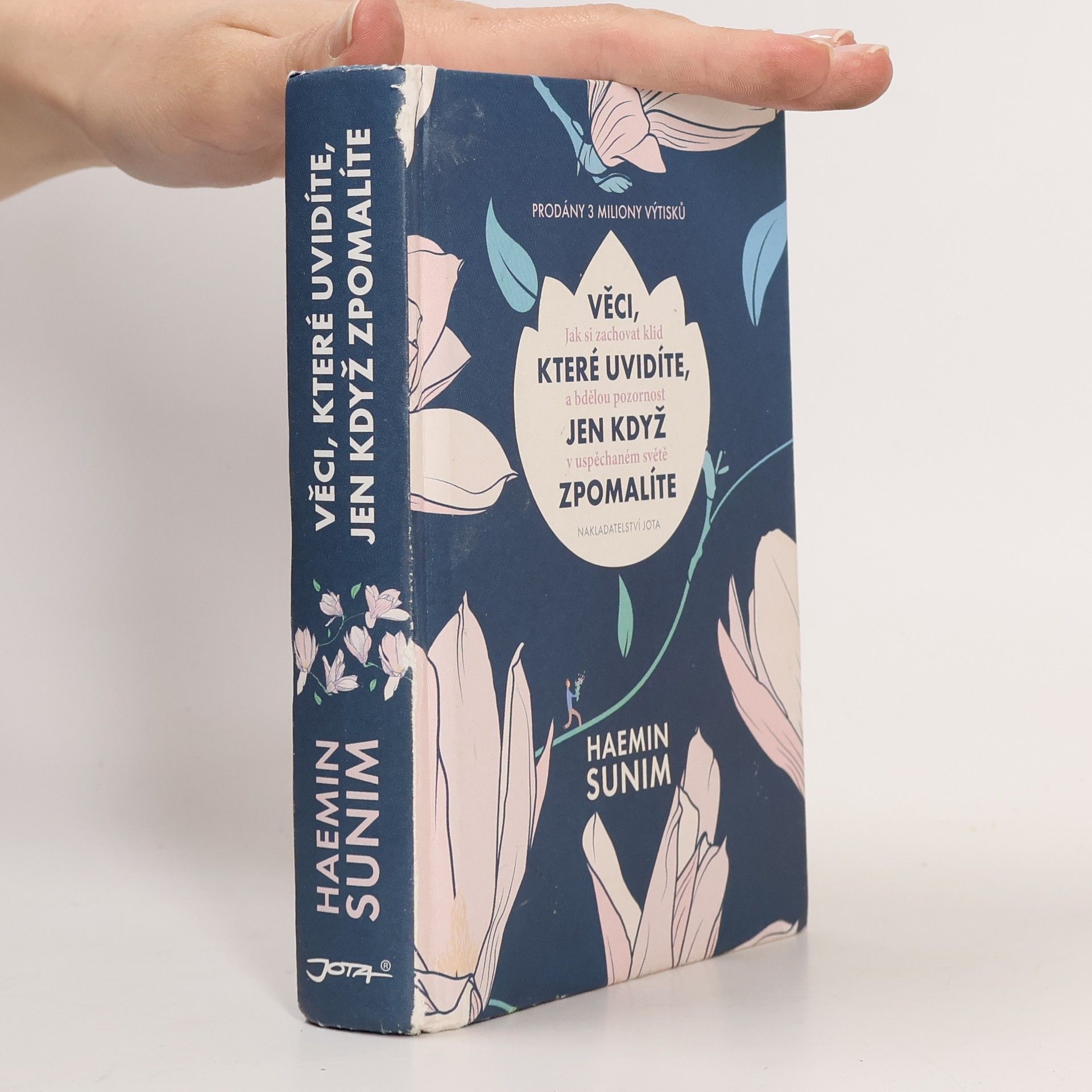 Sunim Haemin Věci, které uvidíte, jen když zpomalíte