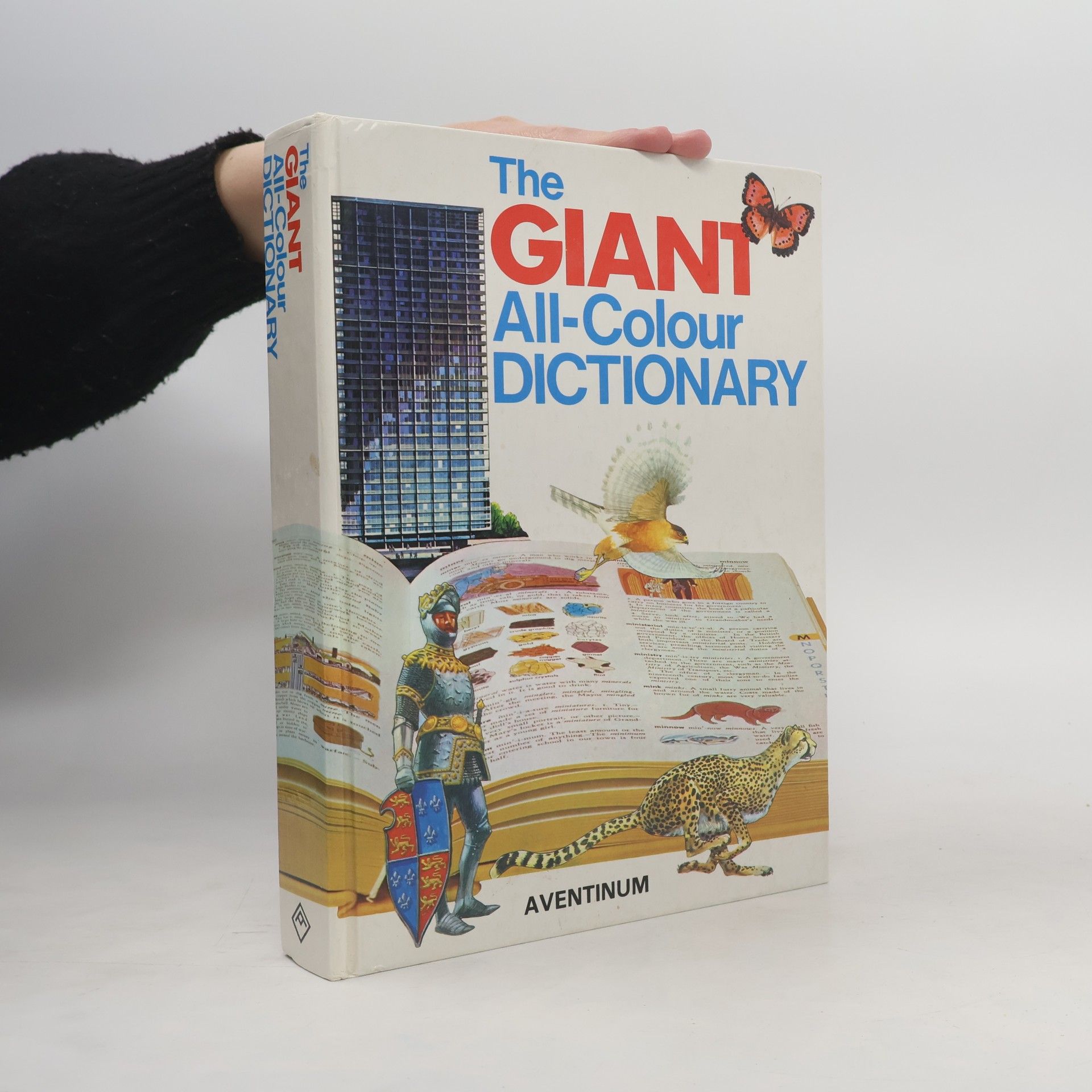 Garnette Watters The Giant All-Colour Dictionary